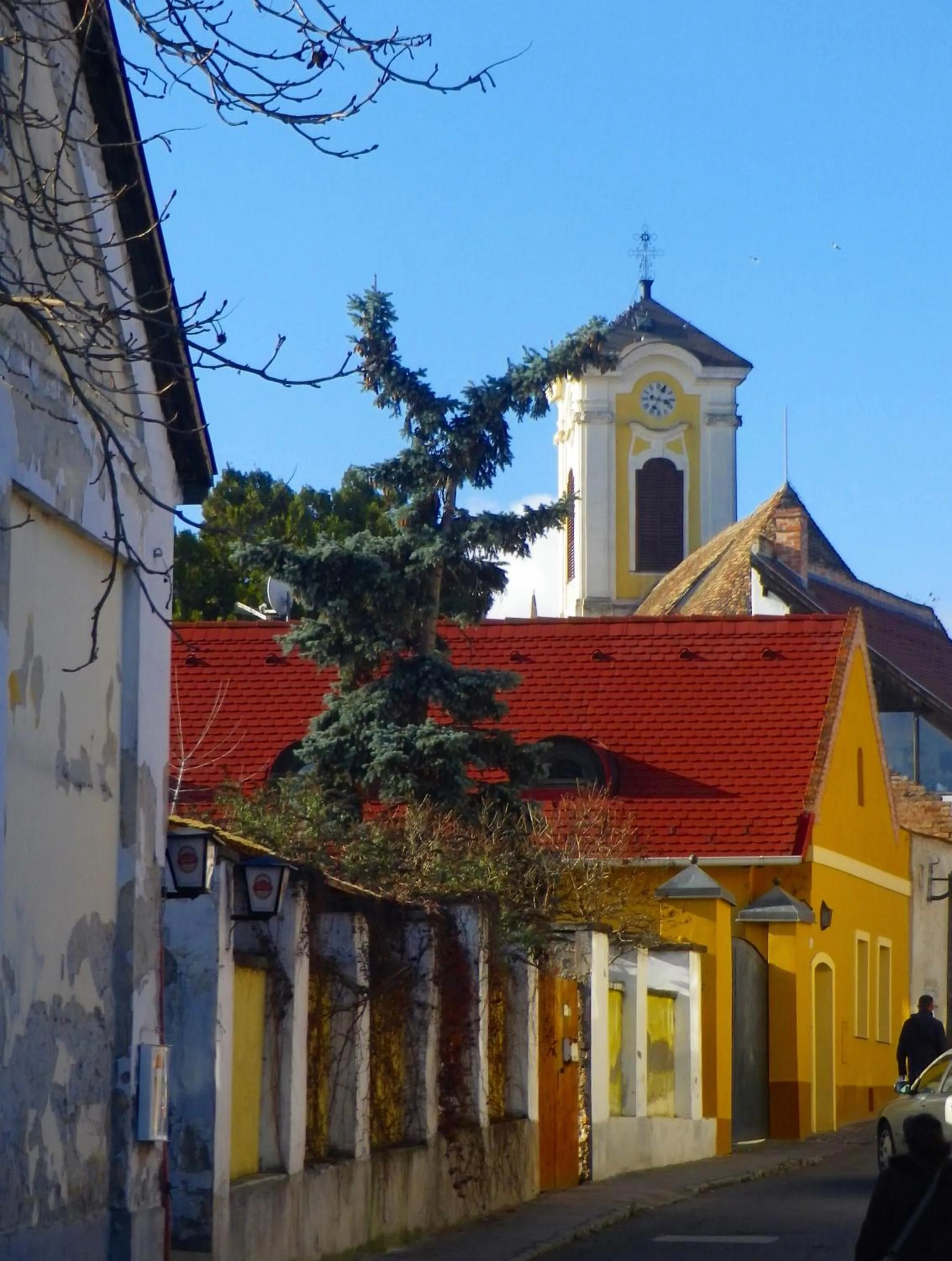 Other in Mathias Rex