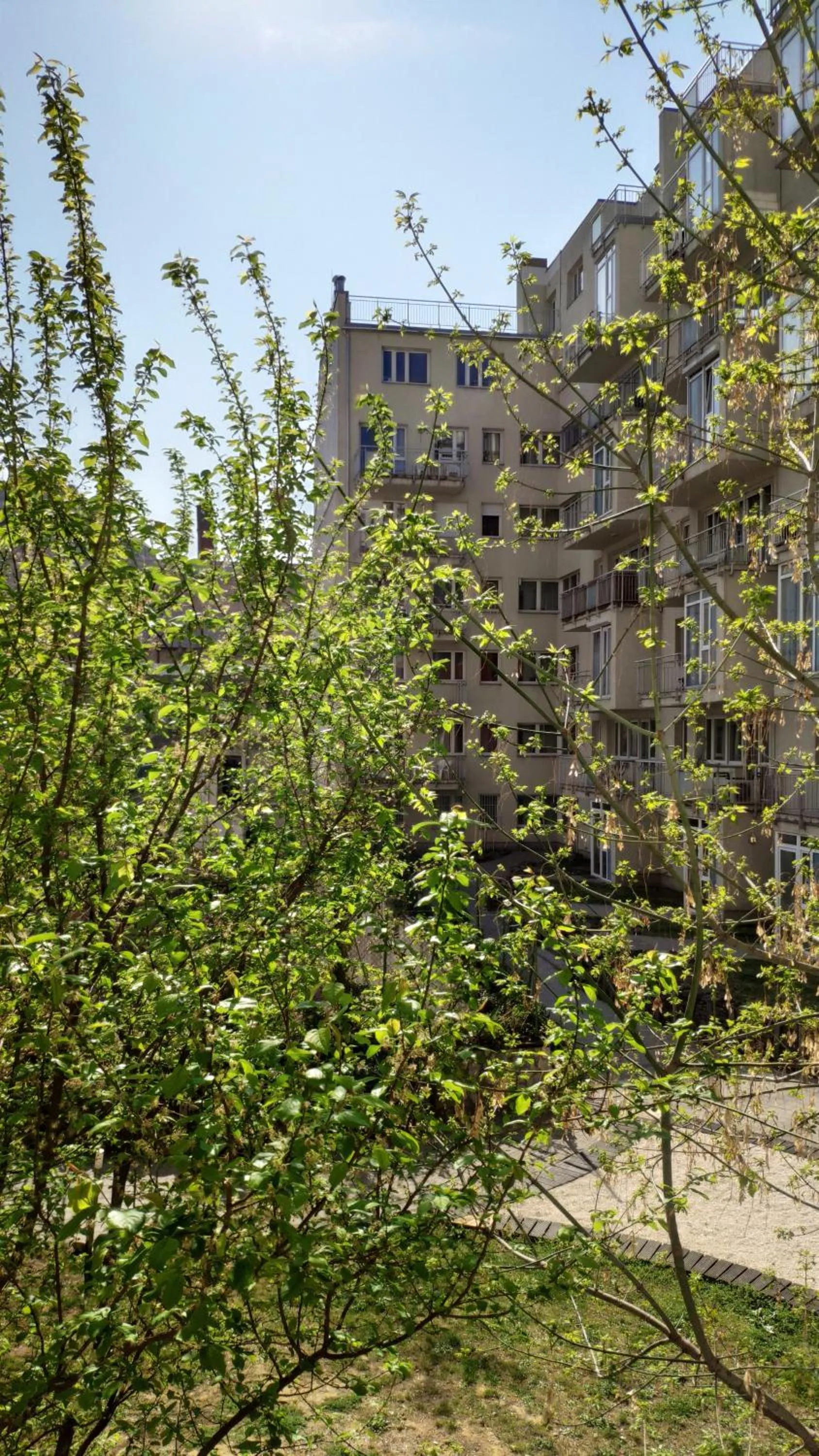 Property building in Akacfa Holiday Apartments