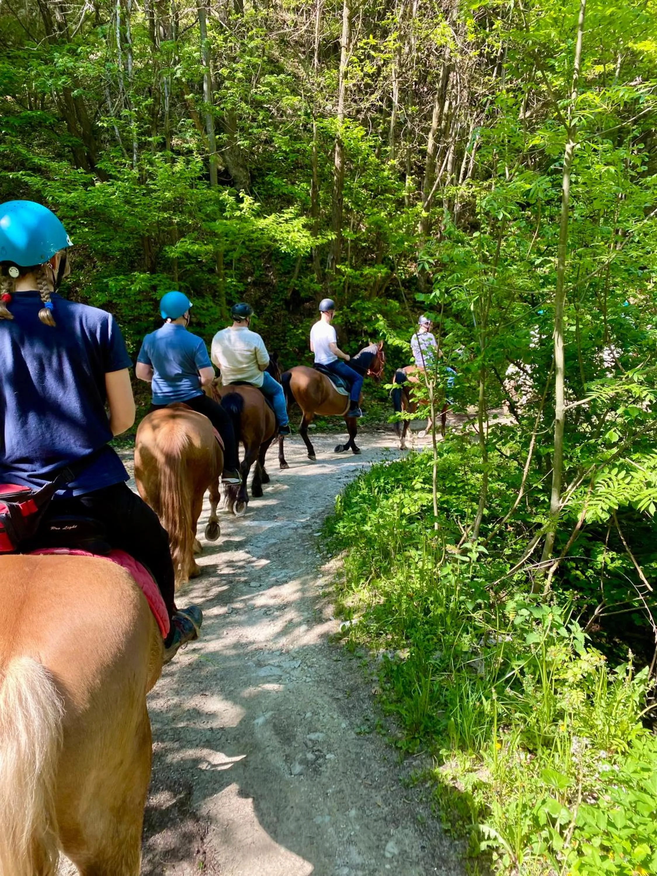 Natural landscape in HOTEL LE FONTI