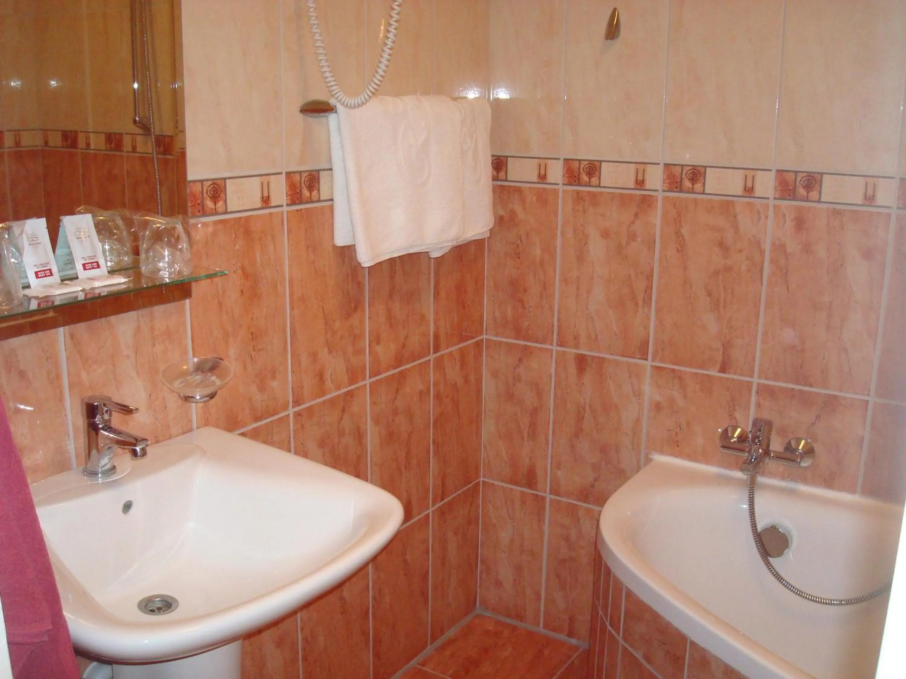 Bathroom in Hotel Romantik Eger