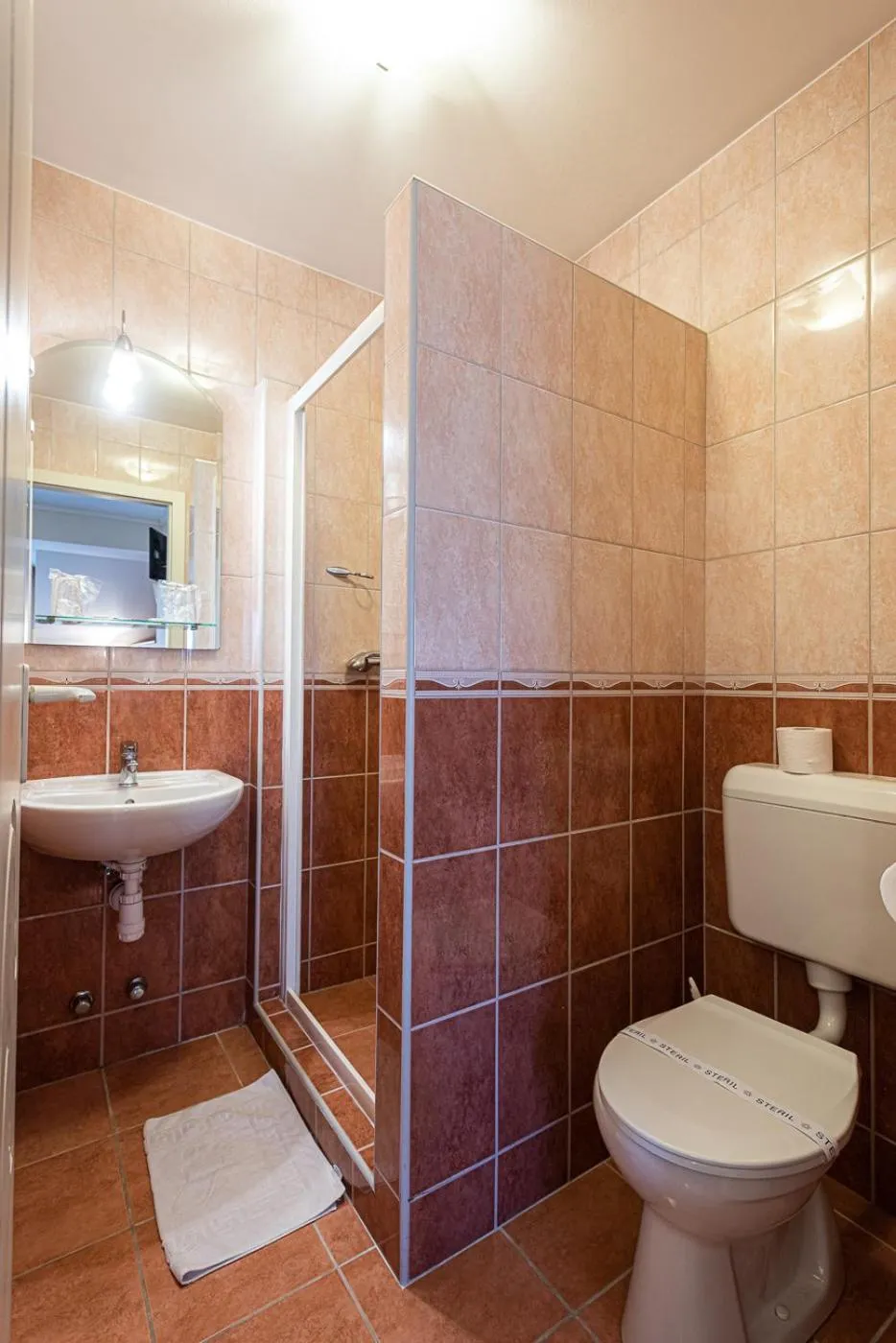 Toilet in Hotel Romantik Eger