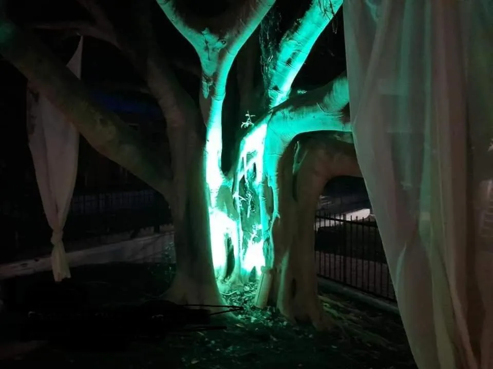 Swimming pool in Euphoria complex