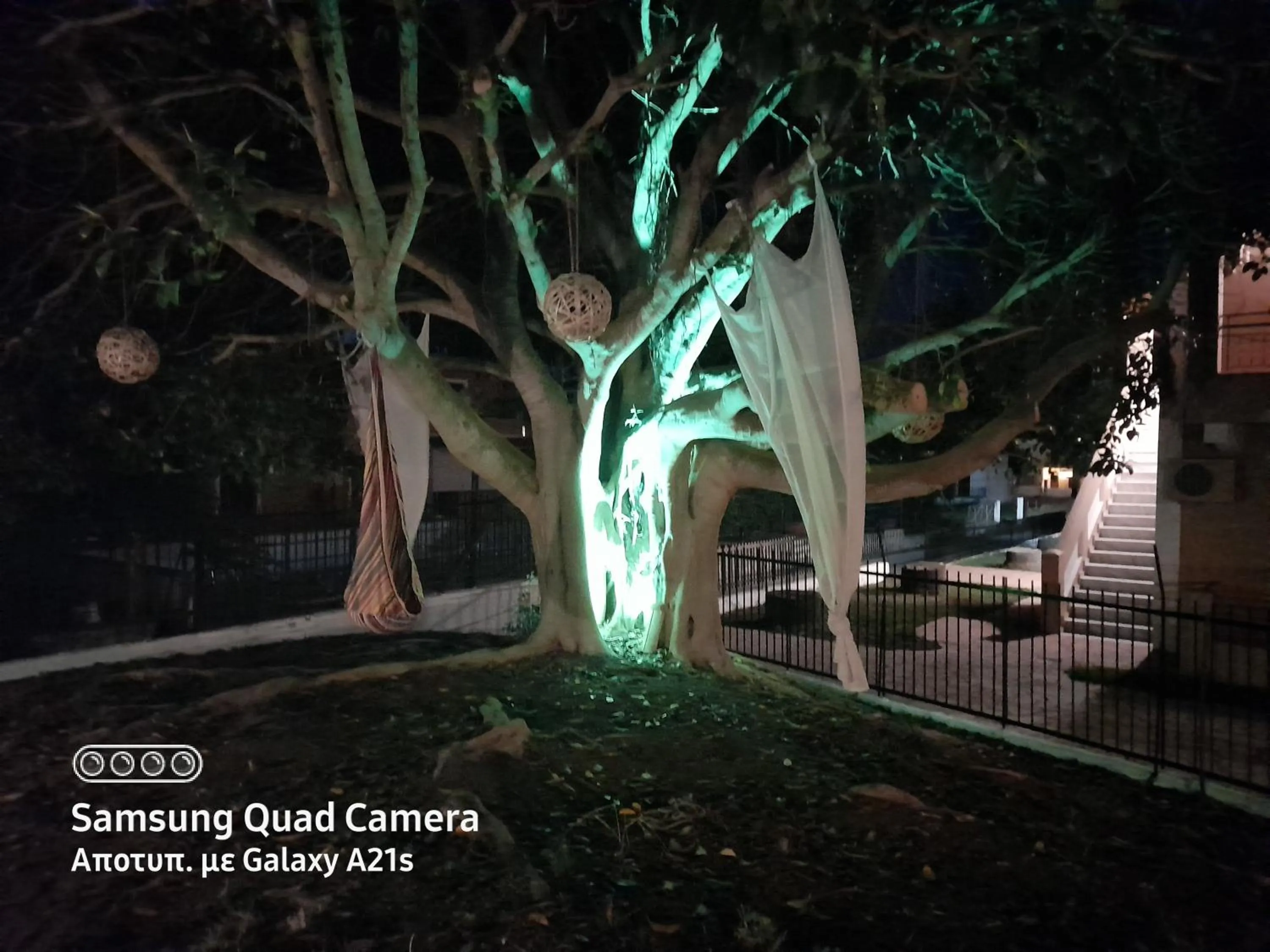 Garden in Euphoria complex