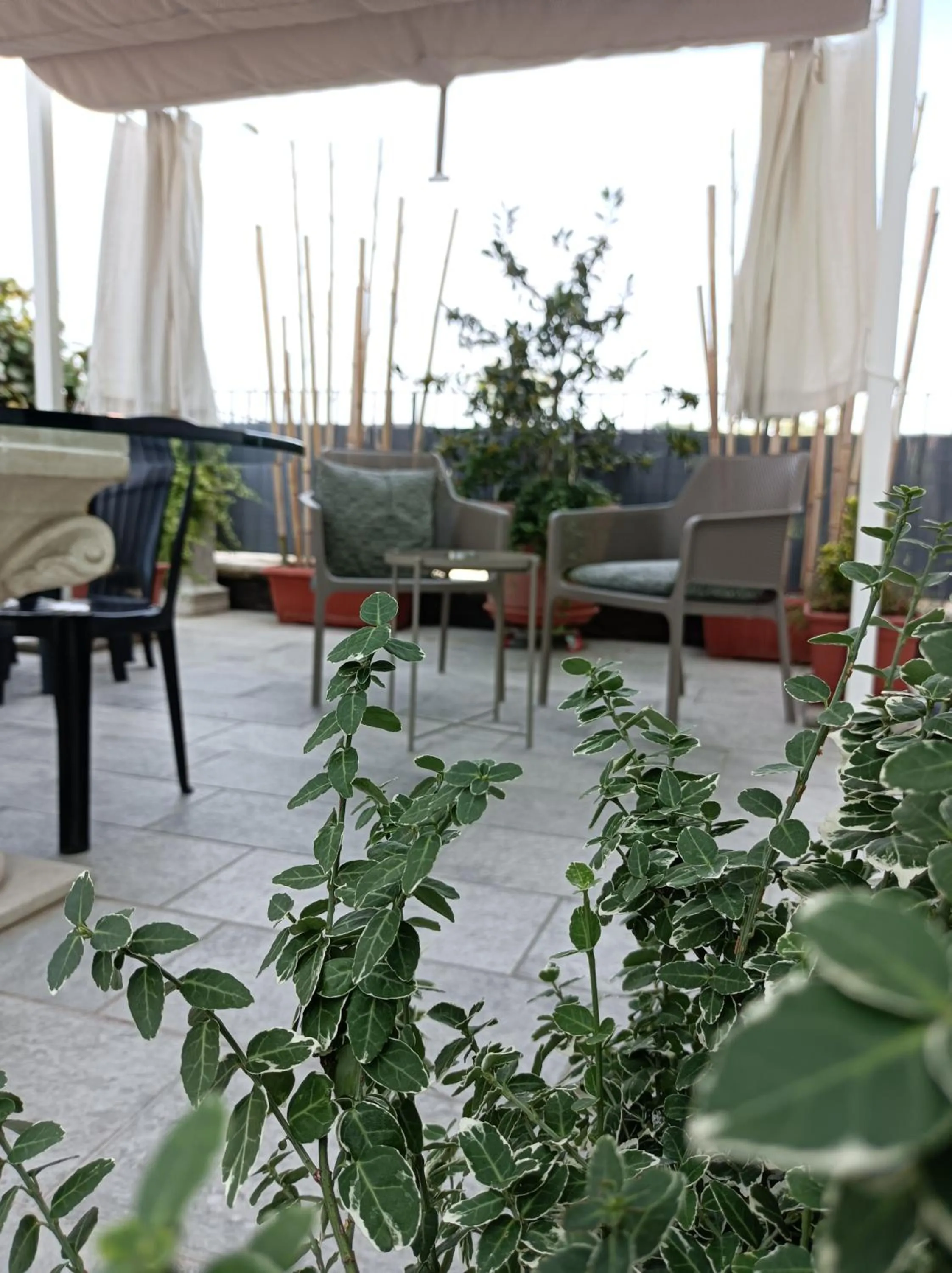 Patio in Riflessi d'Arte