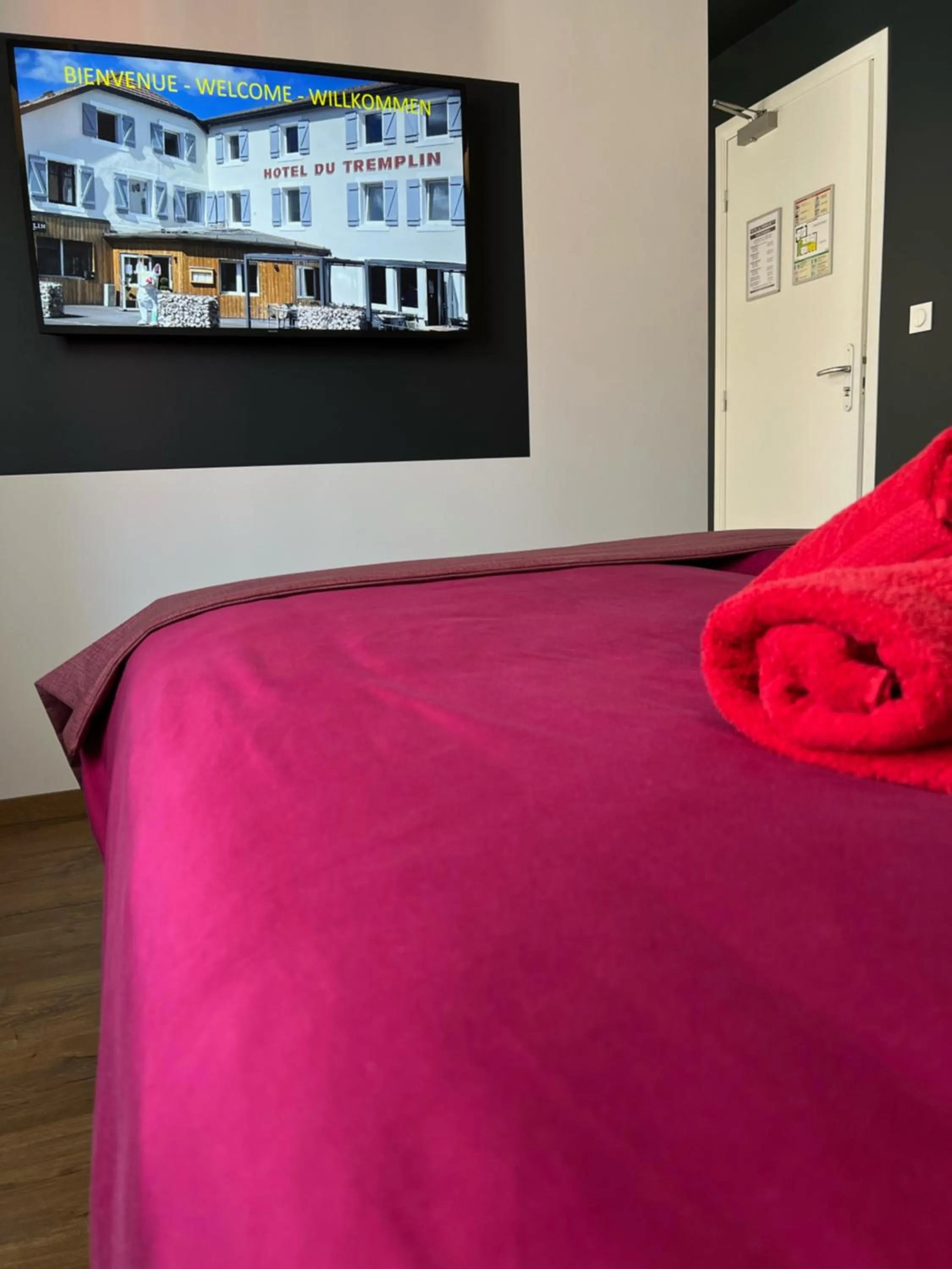 TV and multimedia, TV/Entertainment Center in Hôtel & Spa du Tremplin