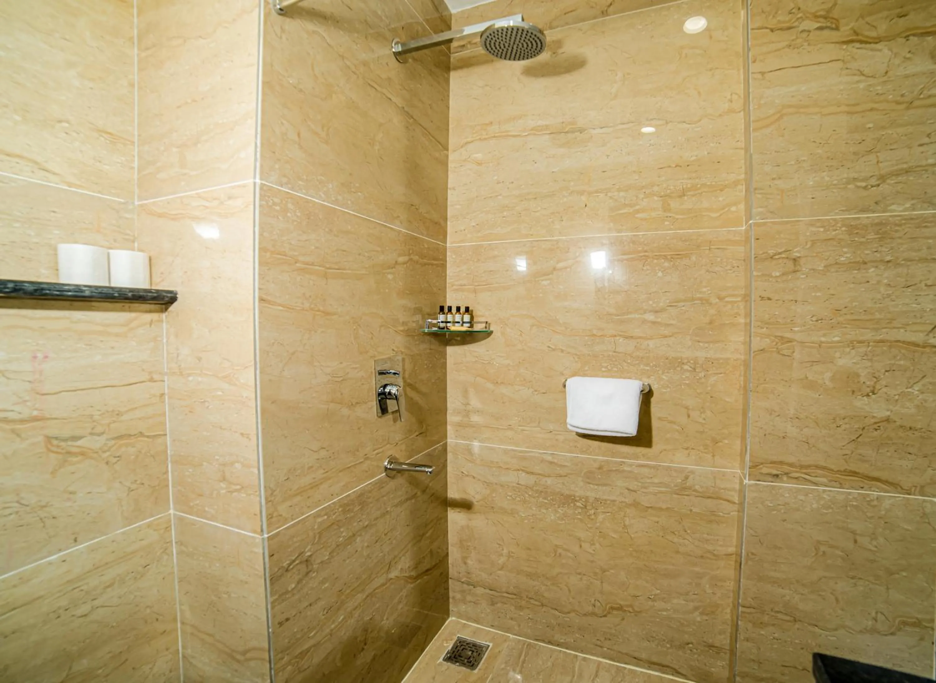 Shower in Best Western Dalhousie