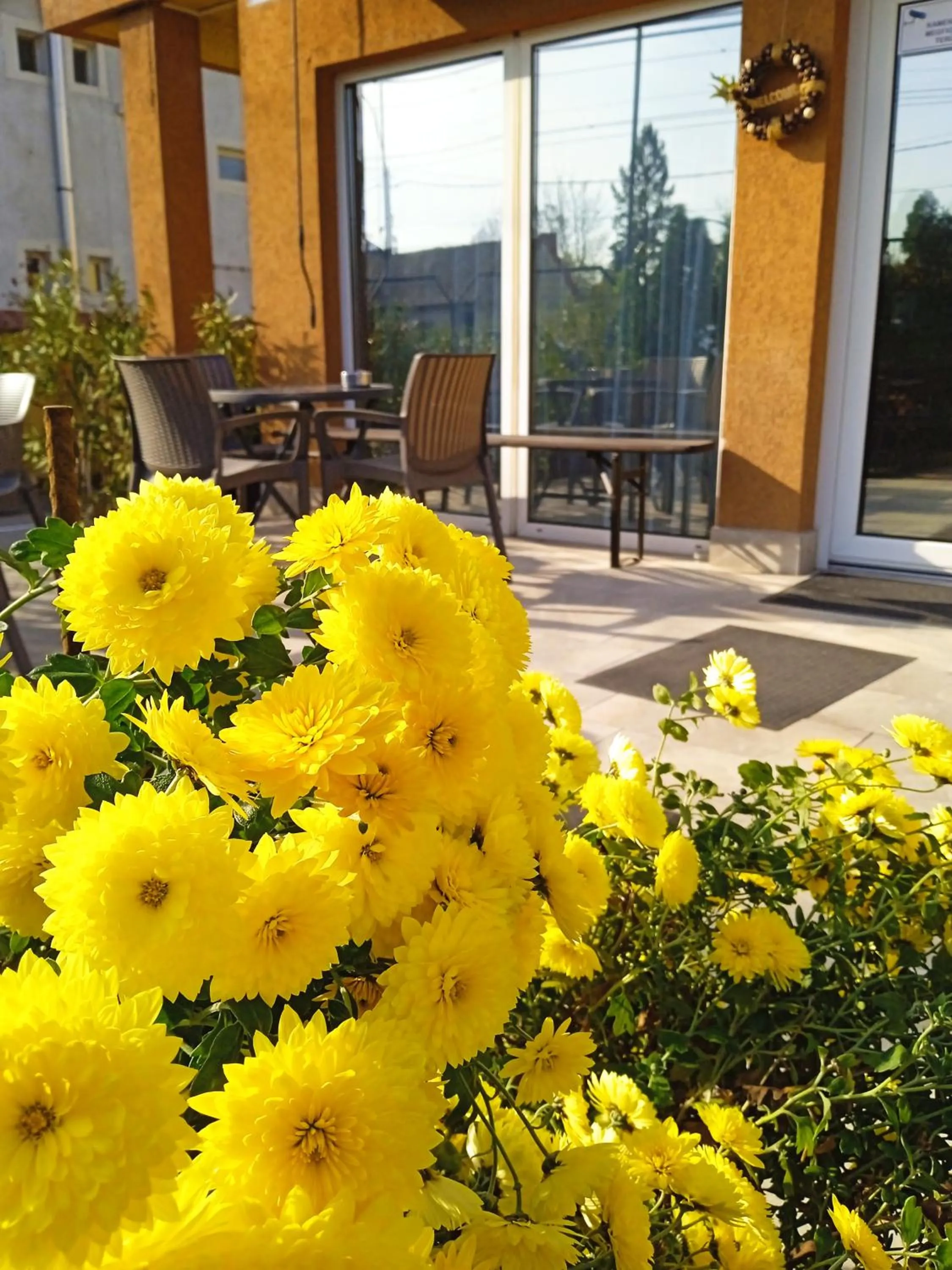 Balcony/Terrace in Alfréd Panzió