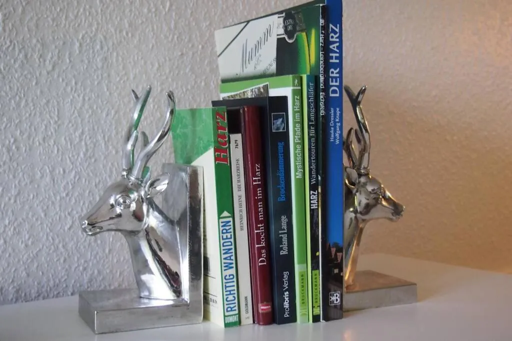 Apartment Harzblick -NEU MODERNISIERT-