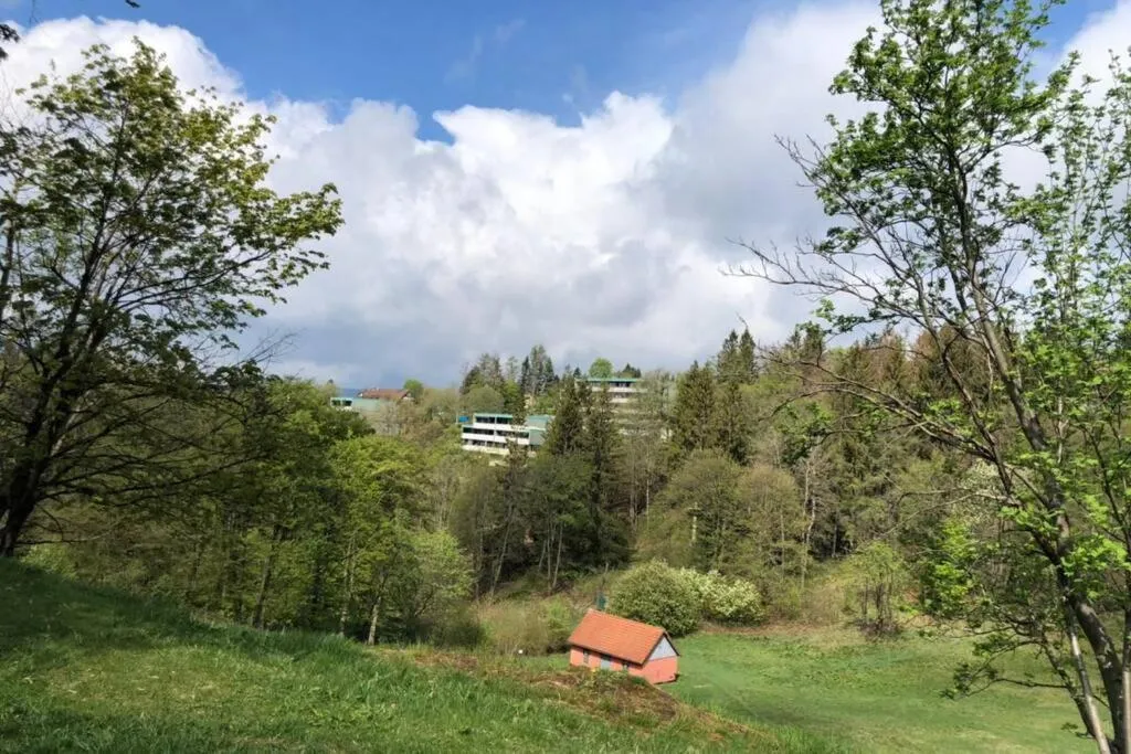 Apartment Harzblick -NEU MODERNISIERT-