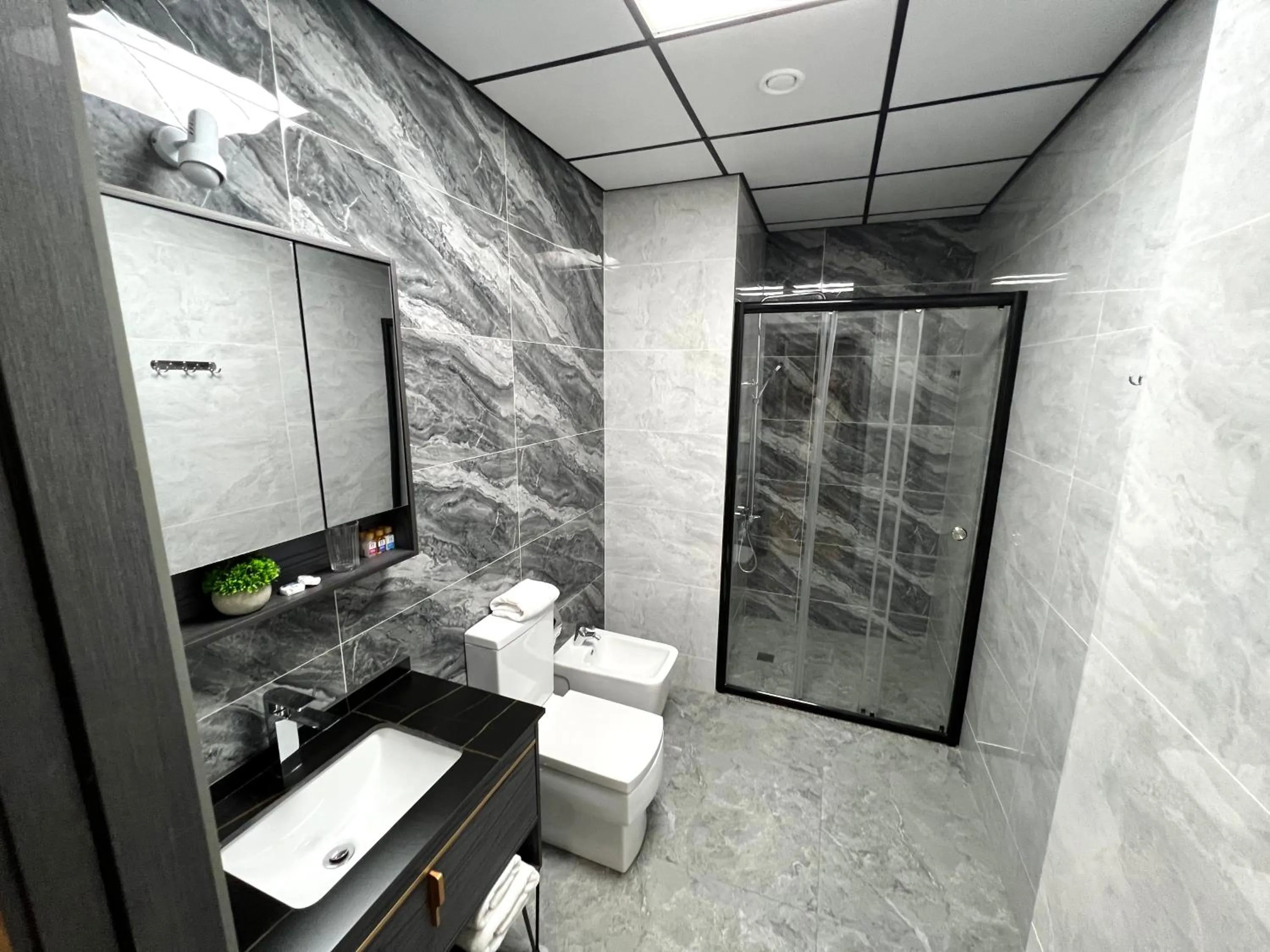 Bathroom in Alpha Plaza Hotel & SPA