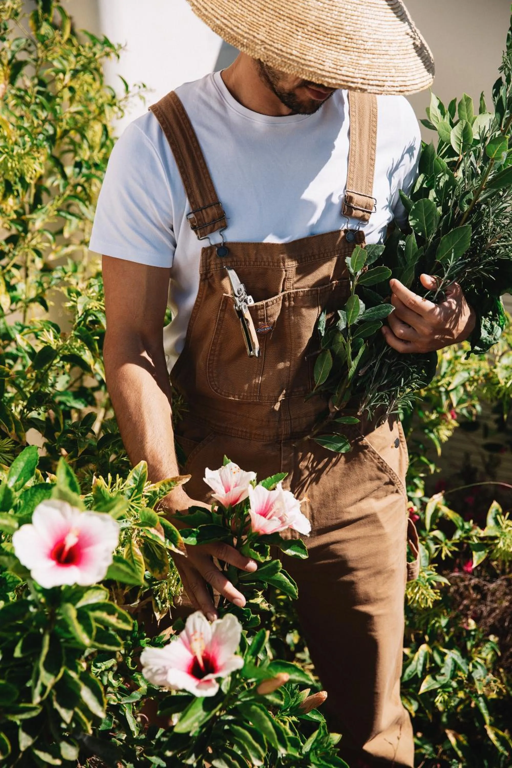 Garden in Ammothines Cycladic Suites