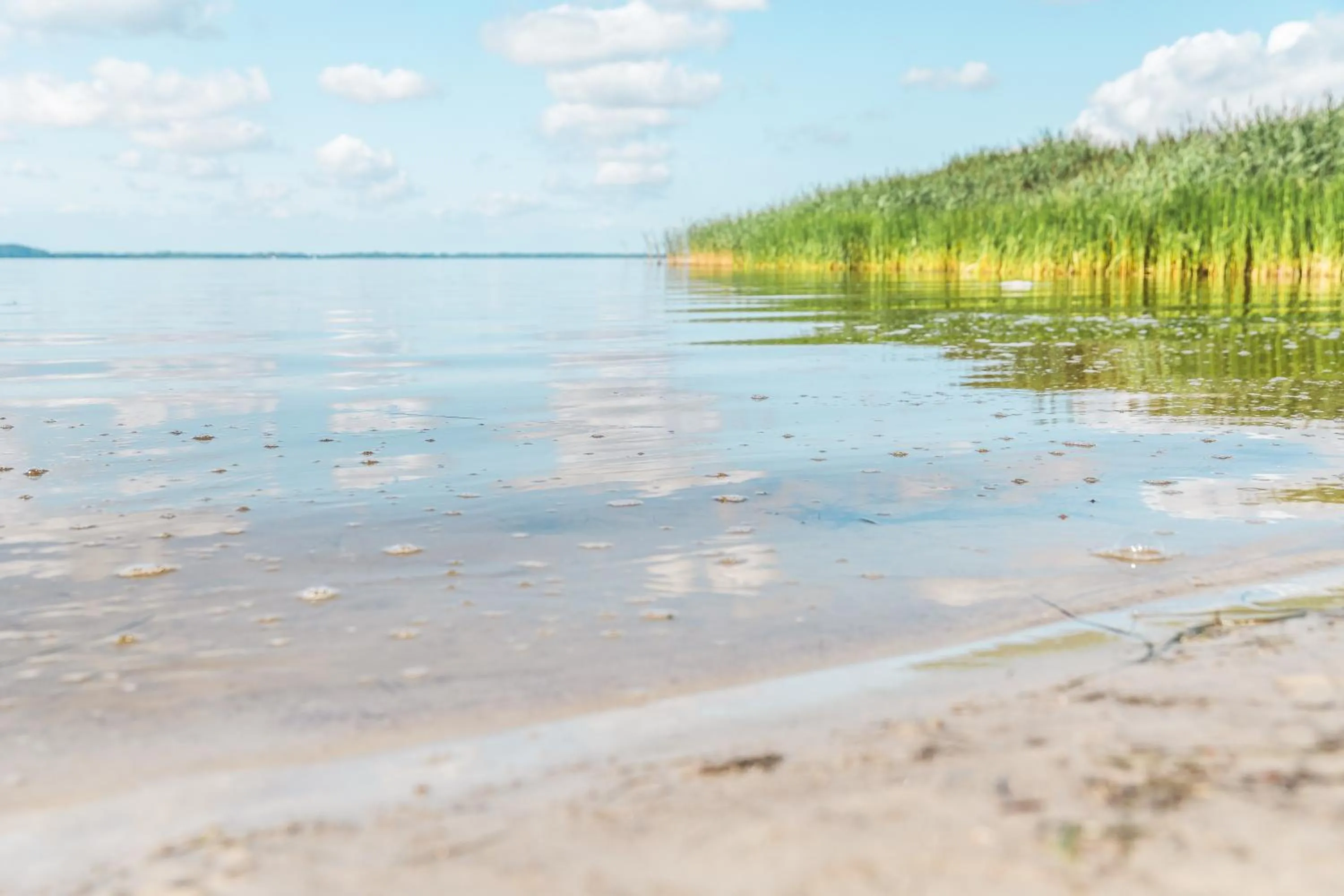 Natural landscape in Marina Martinshafen