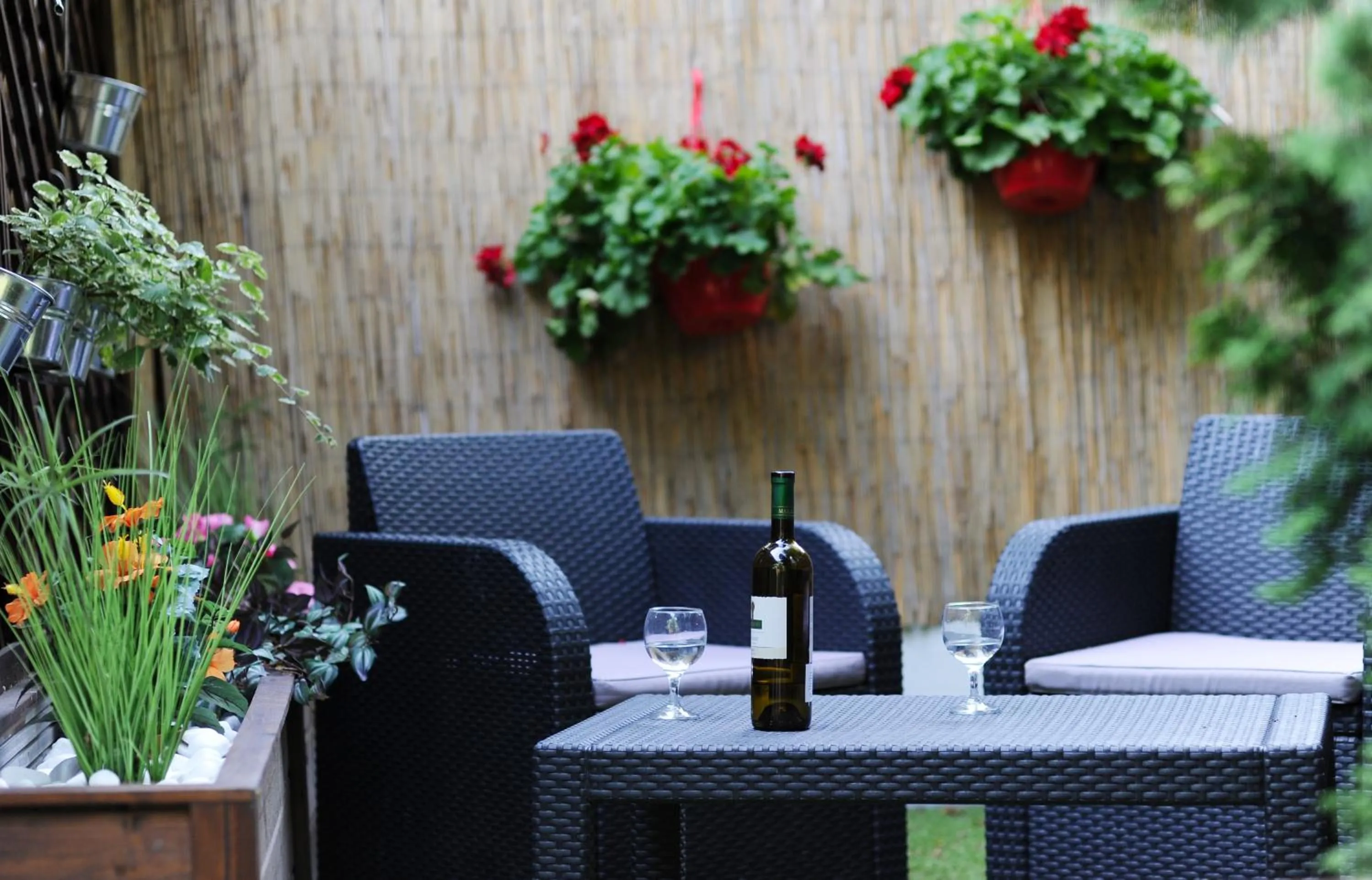 Drinks in Hotel Papillon