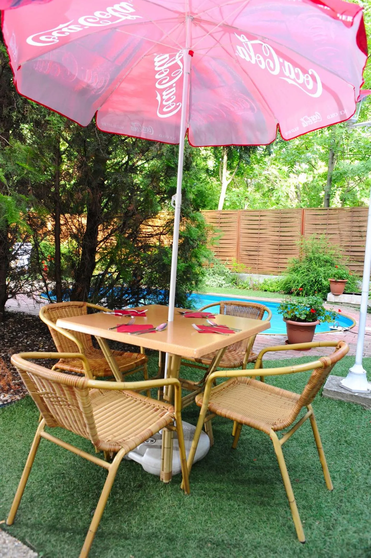 Garden in Hotel Papillon