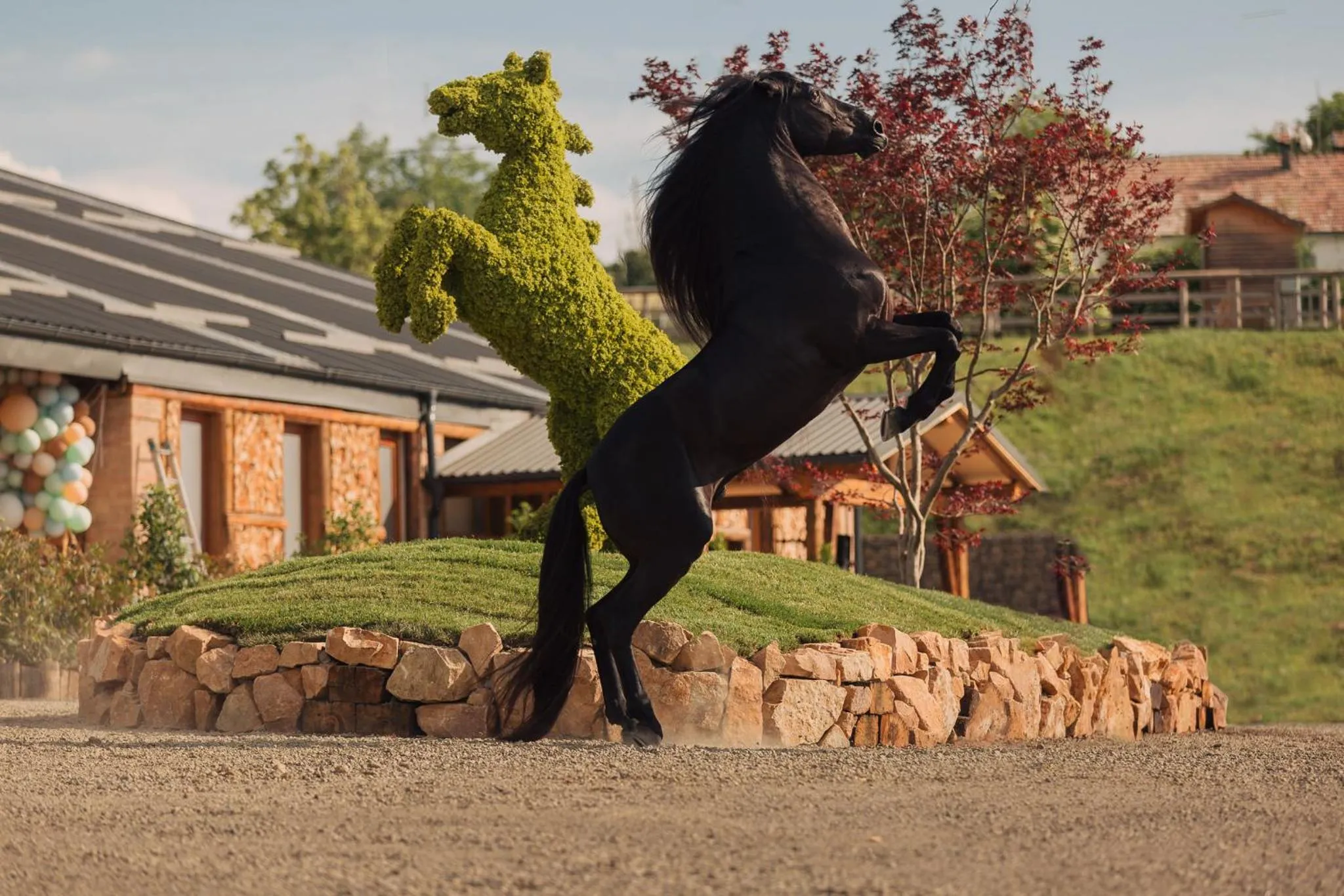 Horse-riding in ISSA Resort