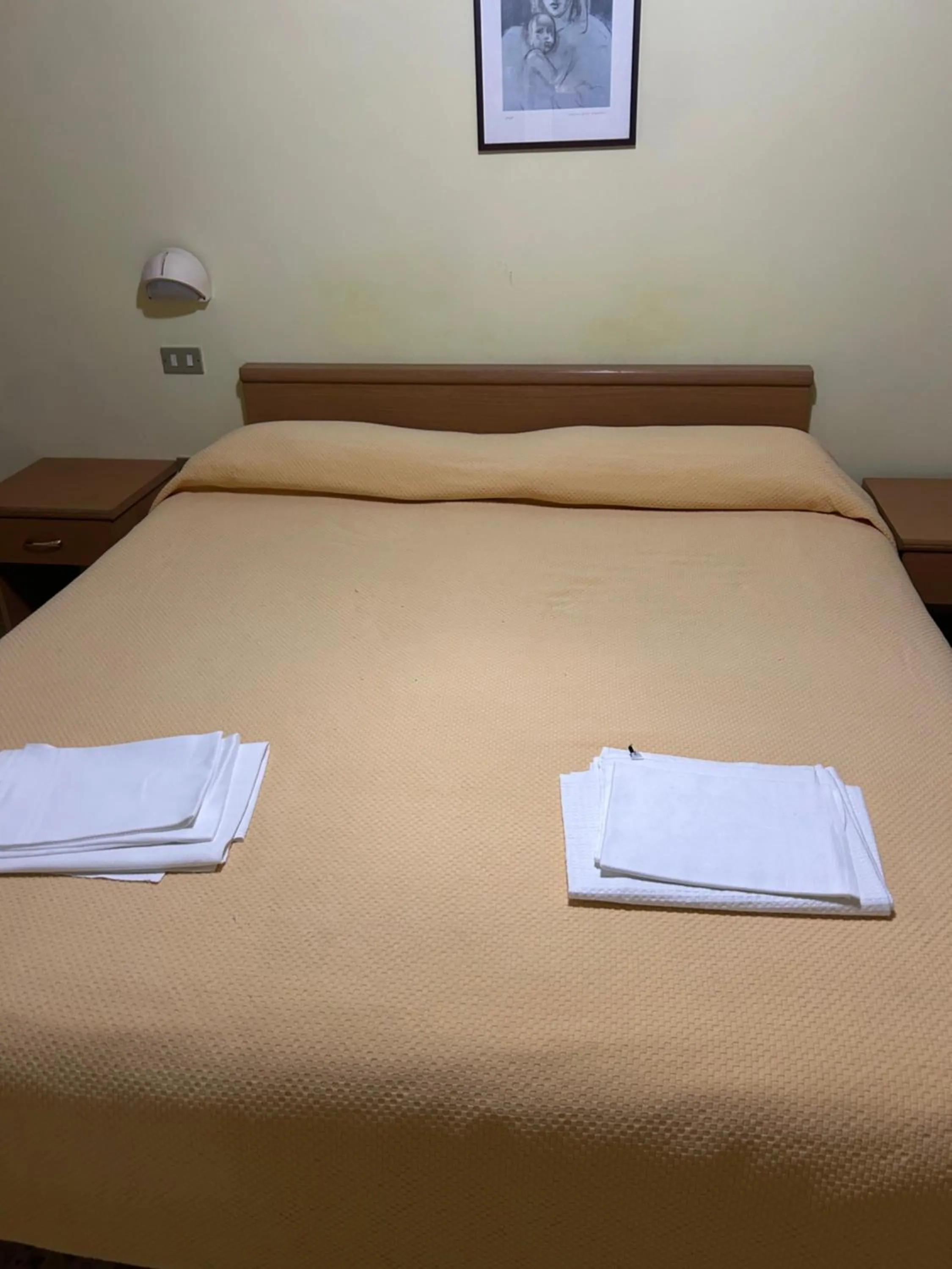 Bed in Albergo pensione Bianco