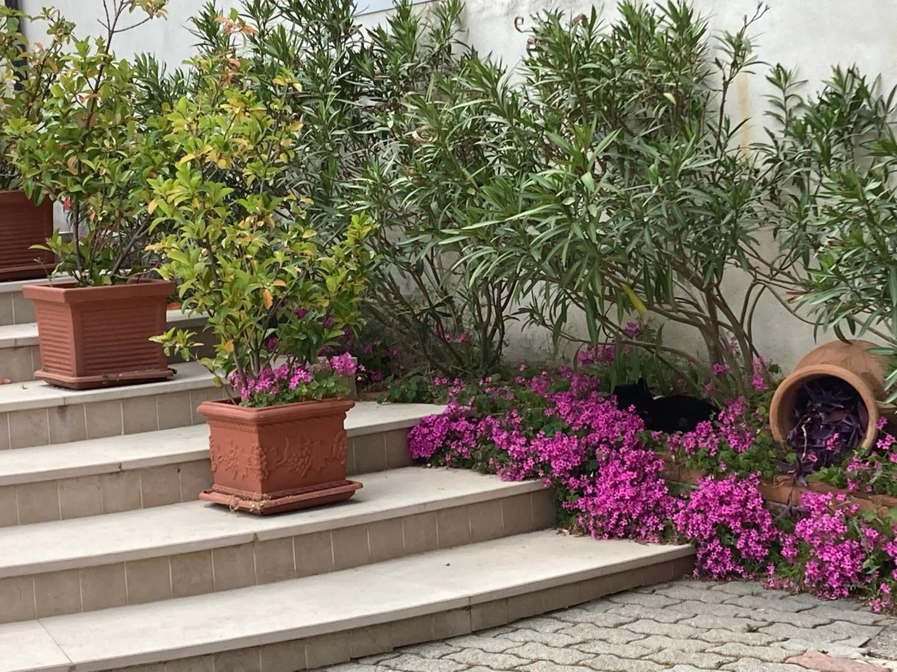 Garden in Albergo pensione Bianco