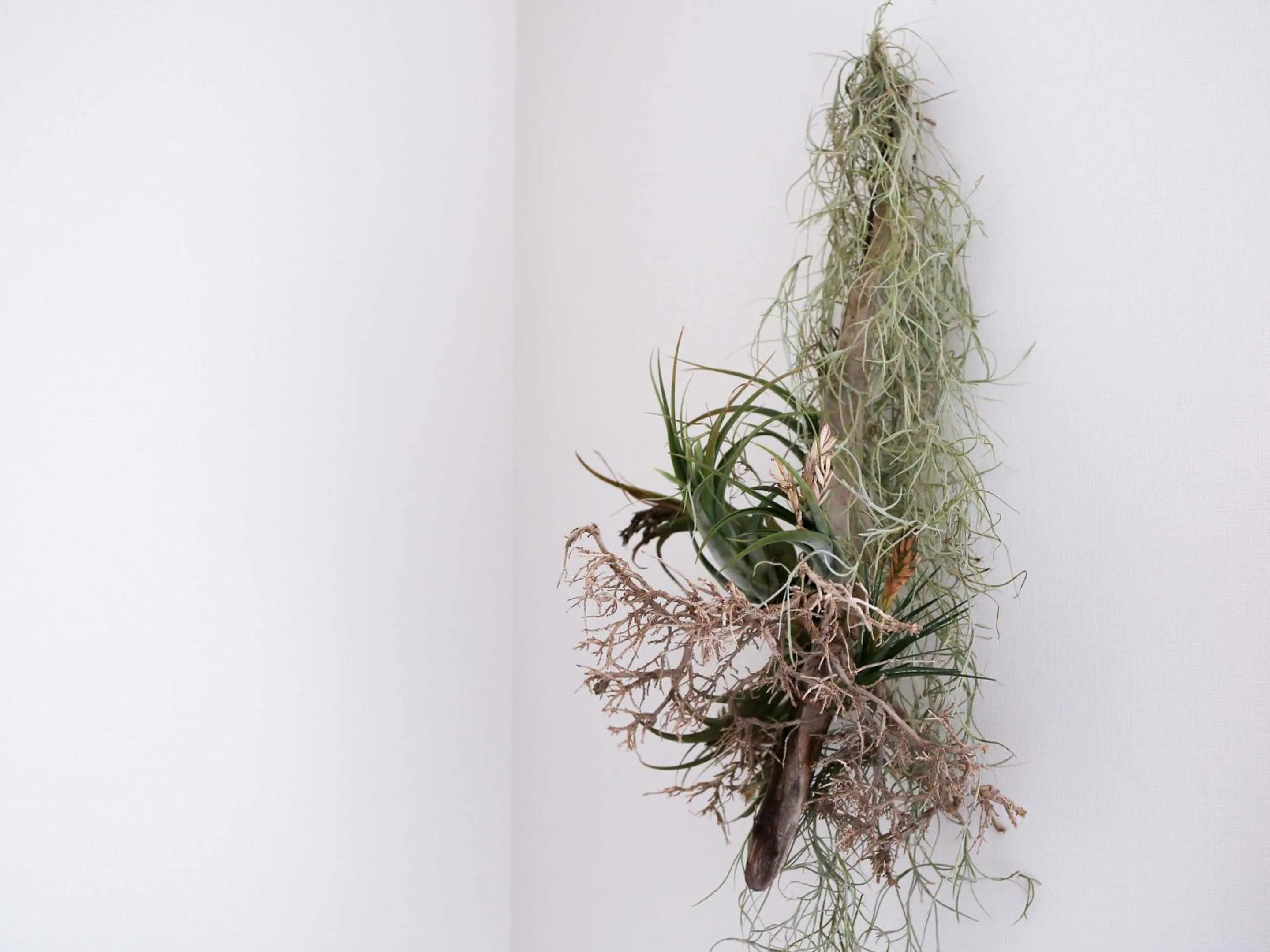 Decorative detail in tune HIGORO