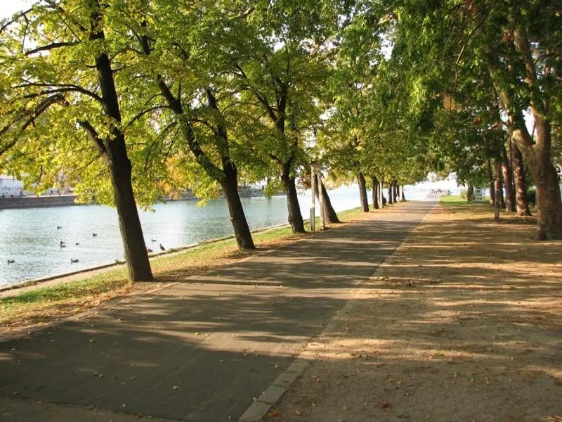 Area and facilities in Apartman Bella Hotel