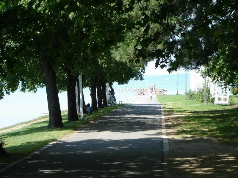 Area and facilities in Apartman Bella Hotel