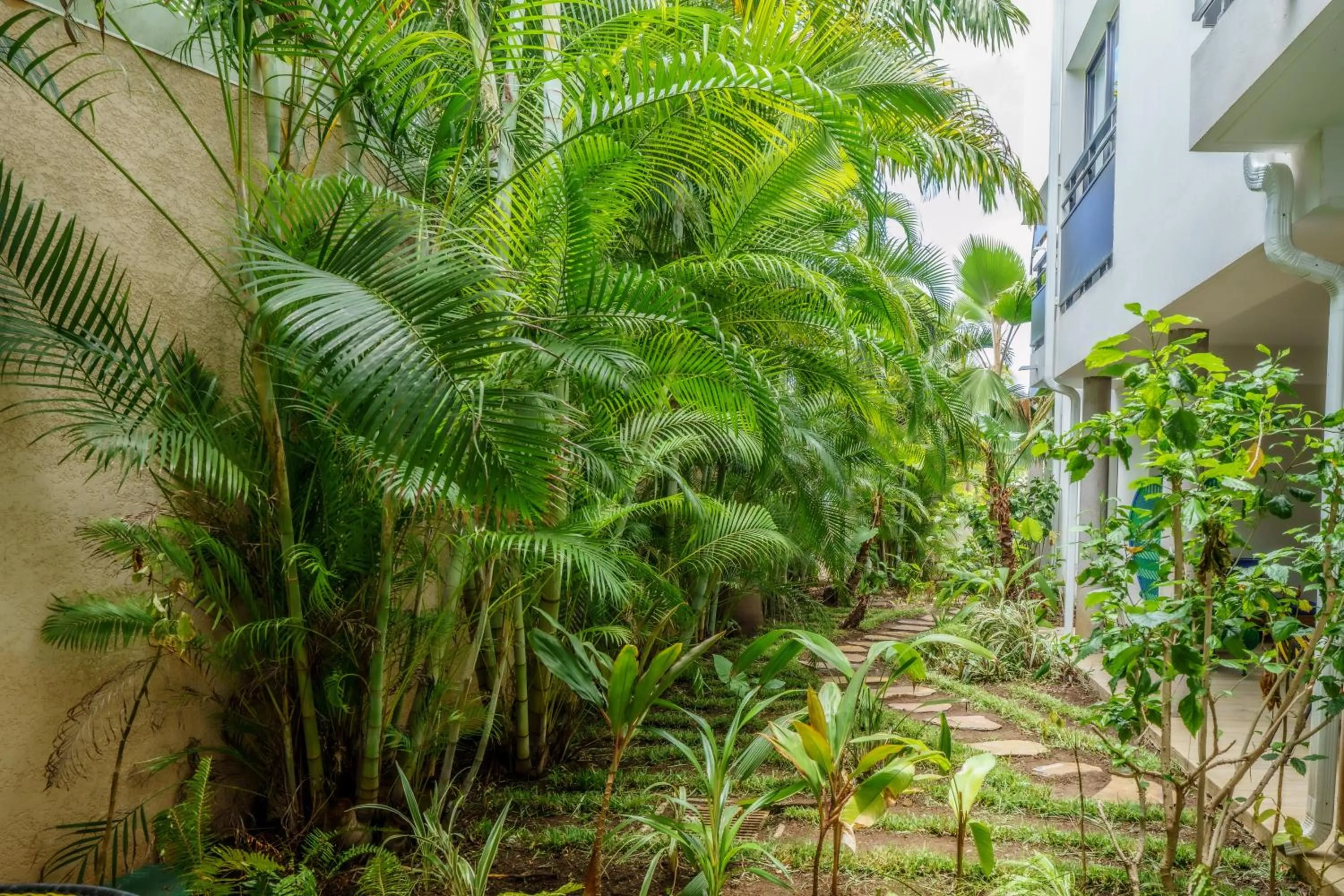 Garden view in Boutik Hôtel 2A - Adult Only