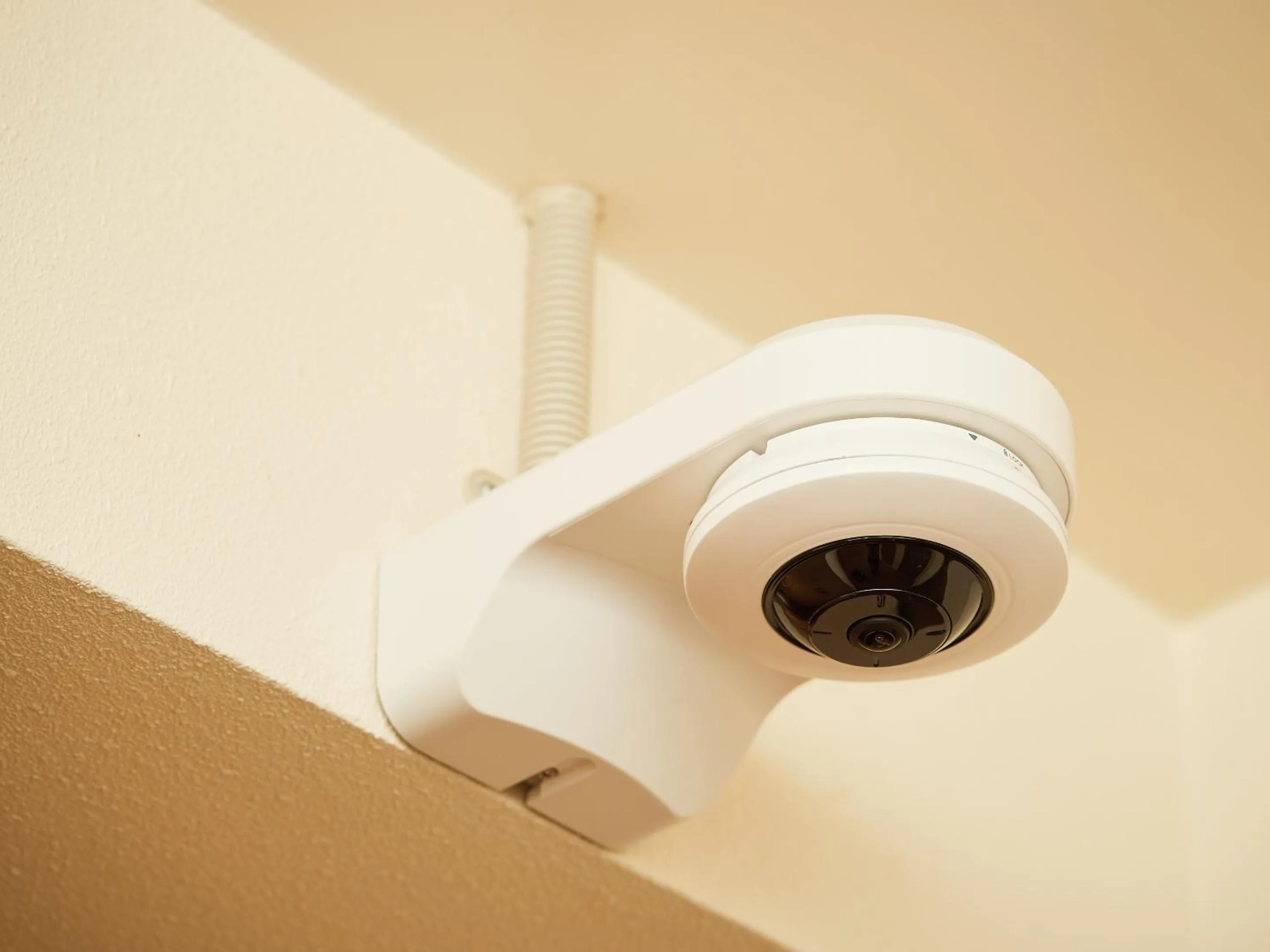 Area and facilities in Terrace Resort Mihama Chatan