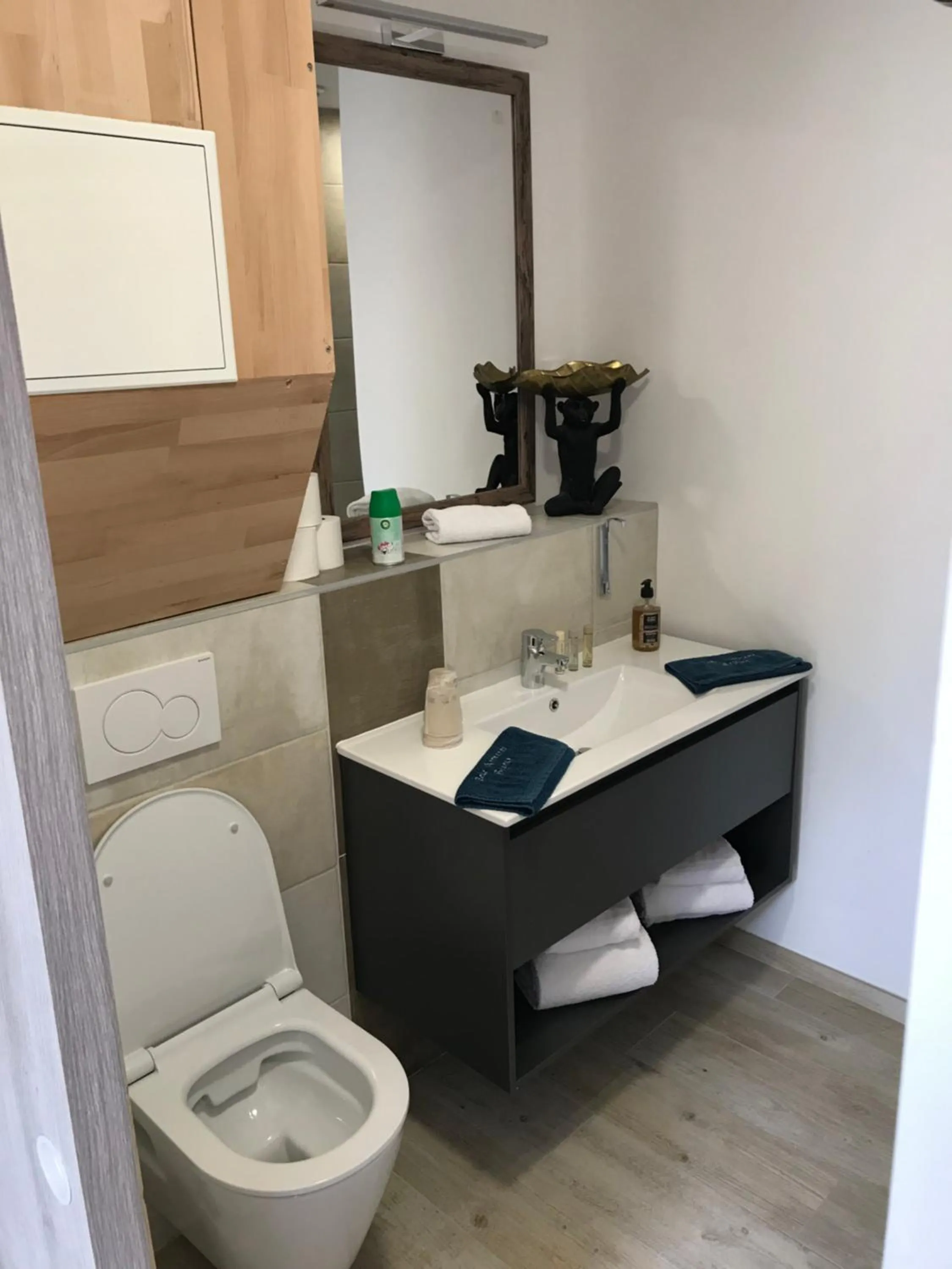 Toilet in Belle Normandy