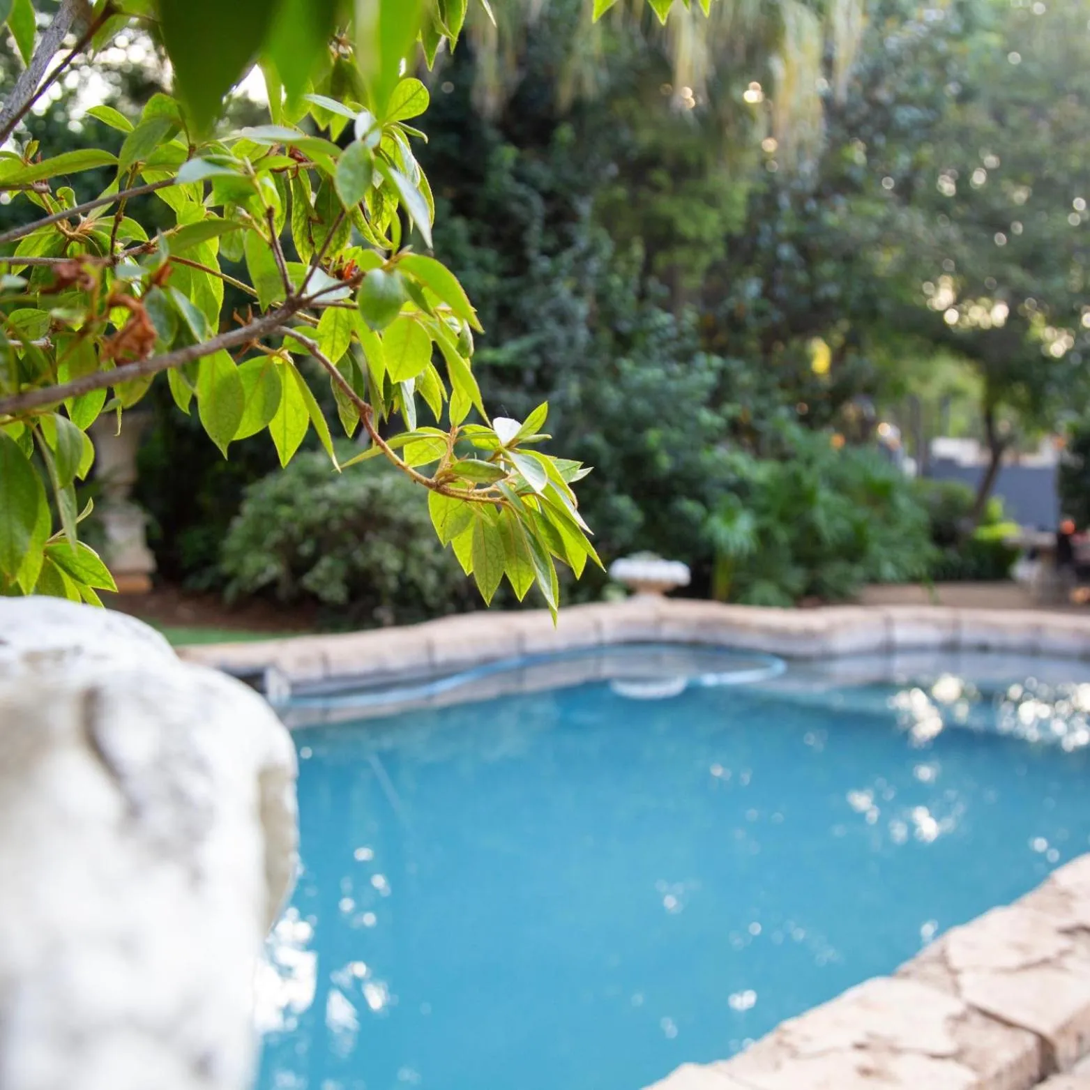 Swimming pool in Ben's Bed and Breakfast