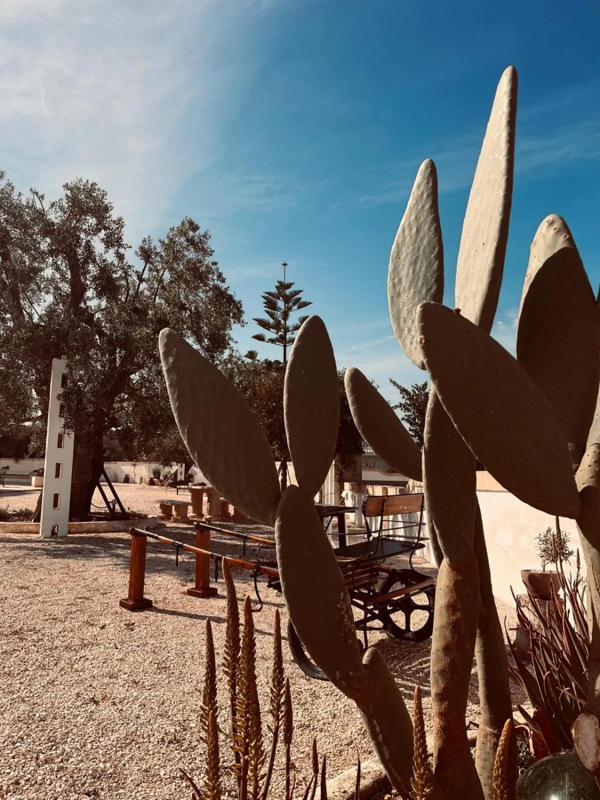 Natural landscape in Masseria Villa Verde