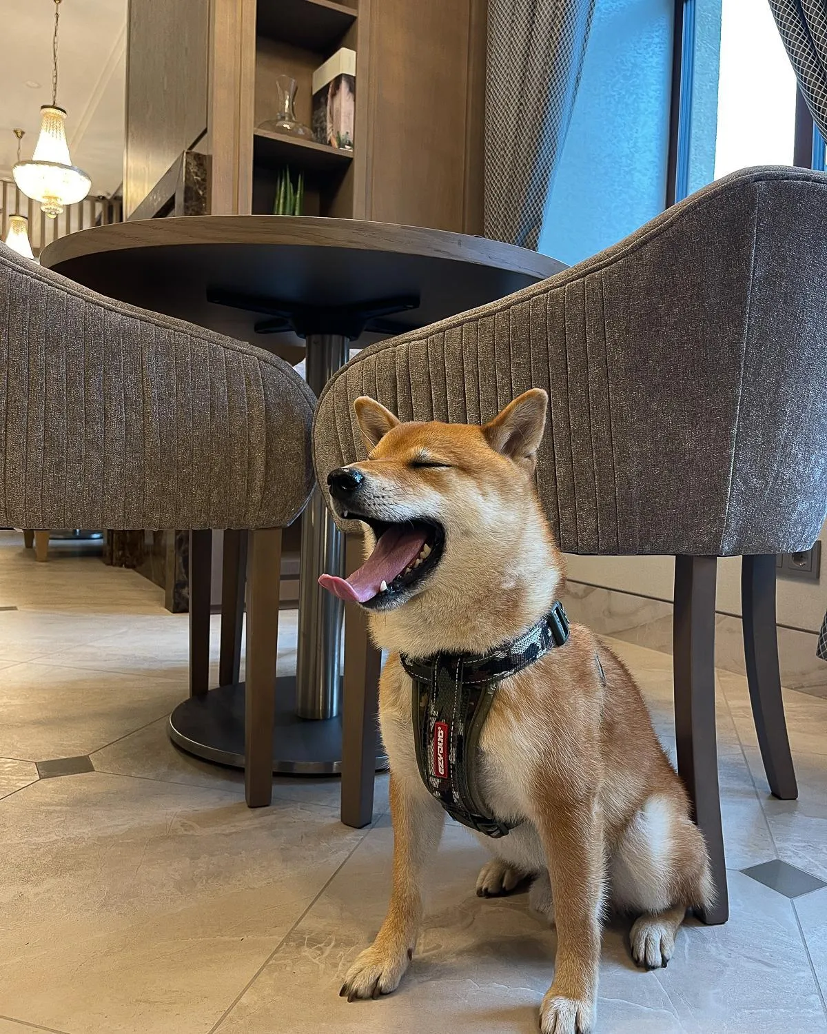 Restaurant/places to eat in CALVARY Hotel & Restaurant Vilnius