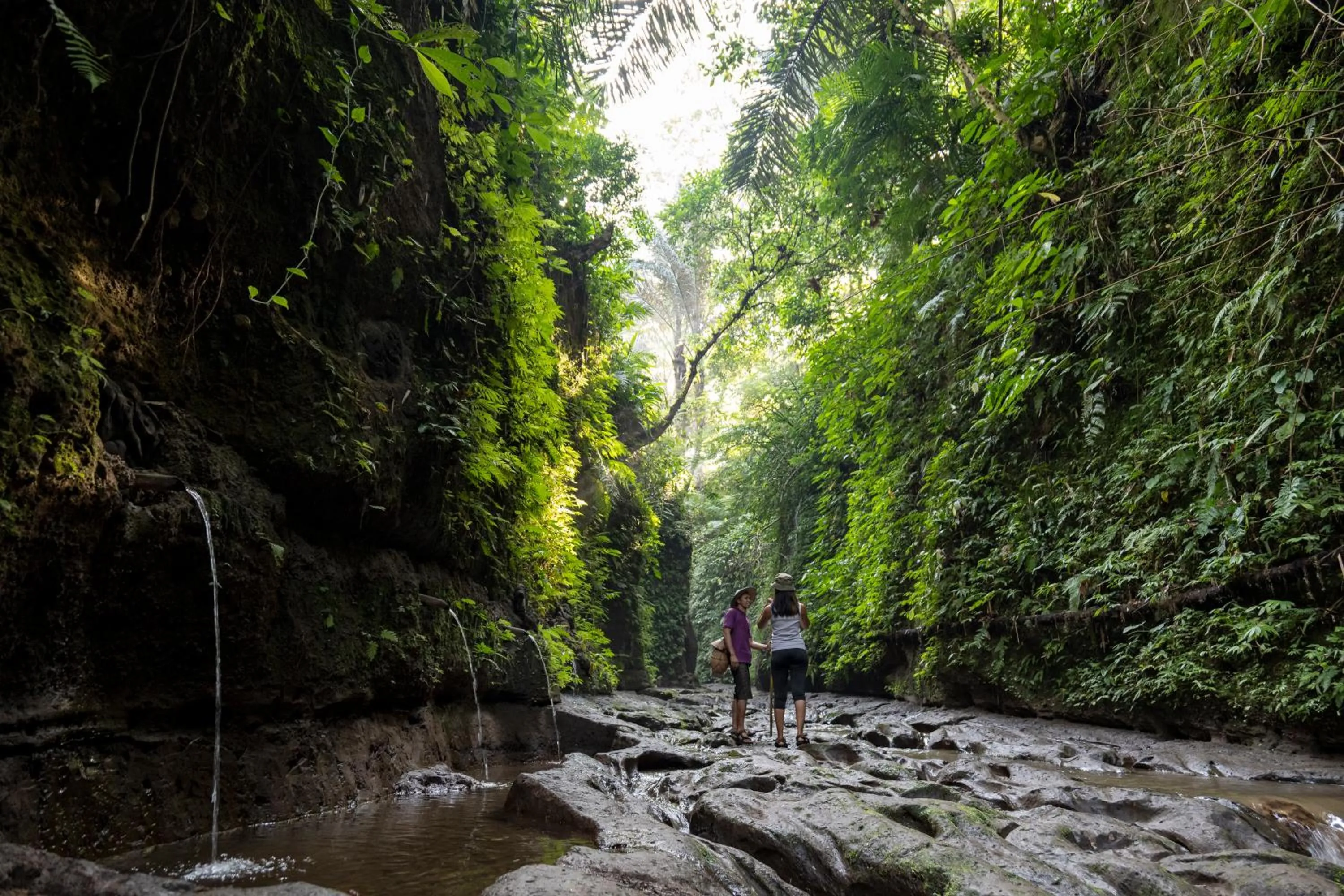 Hiking in Pramana Giri Kusuma