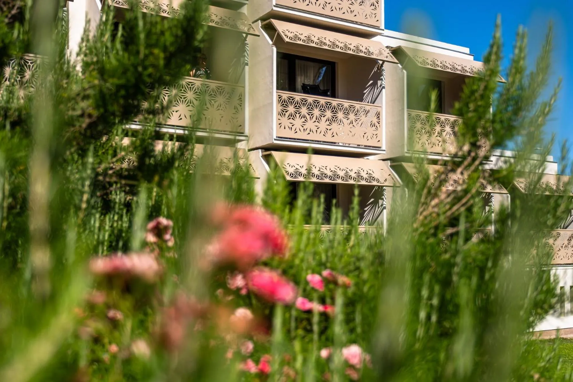 Garden in Hotel Margareta