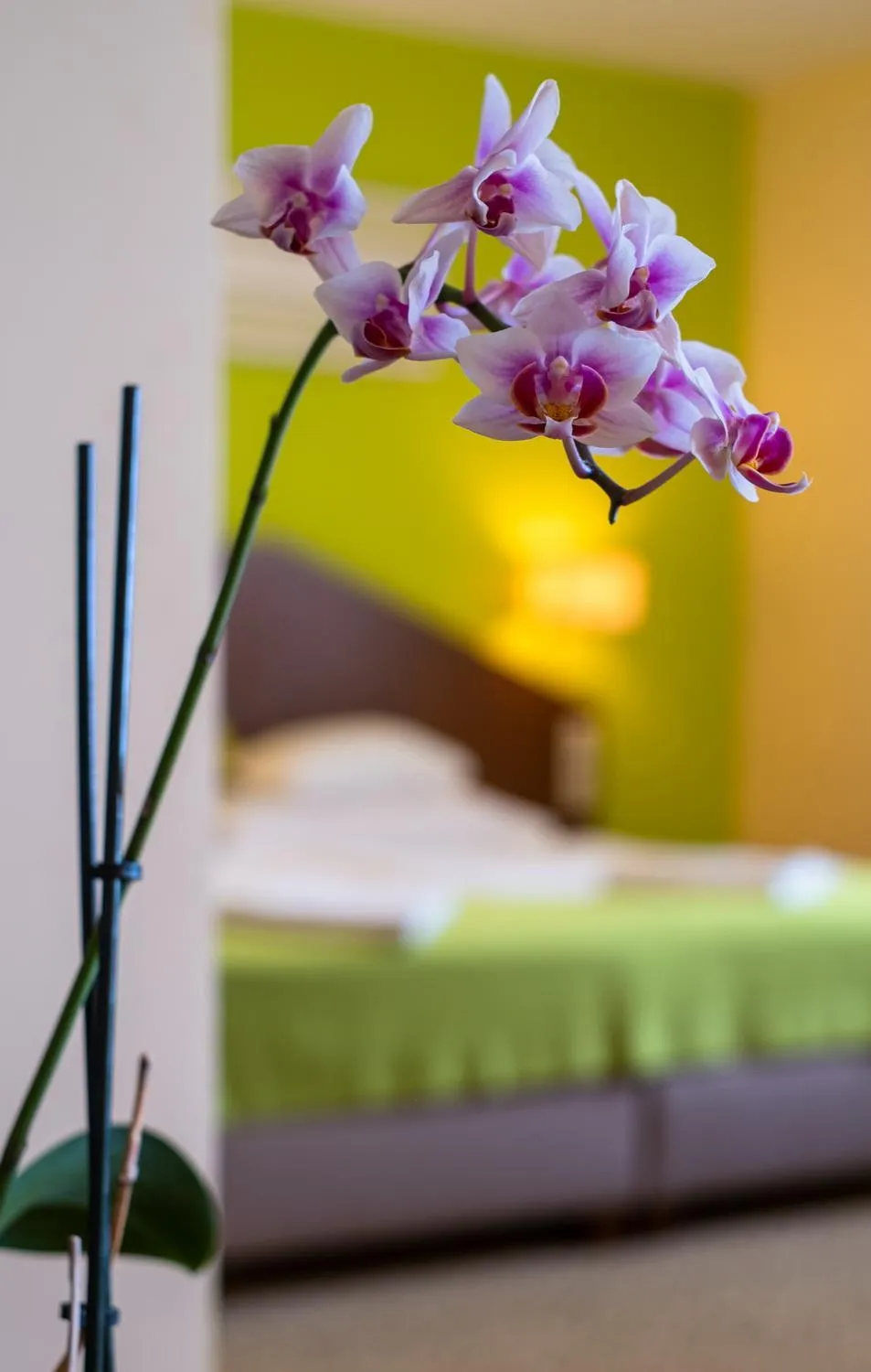 Bedroom, Bed in Hotel Margareta