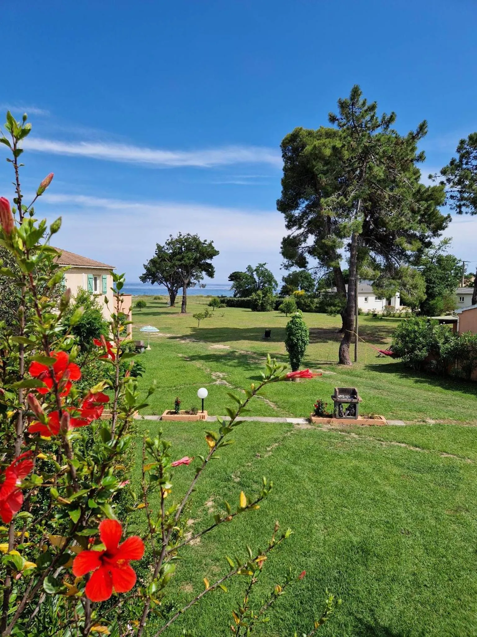 Garden view in Pinea Mare
