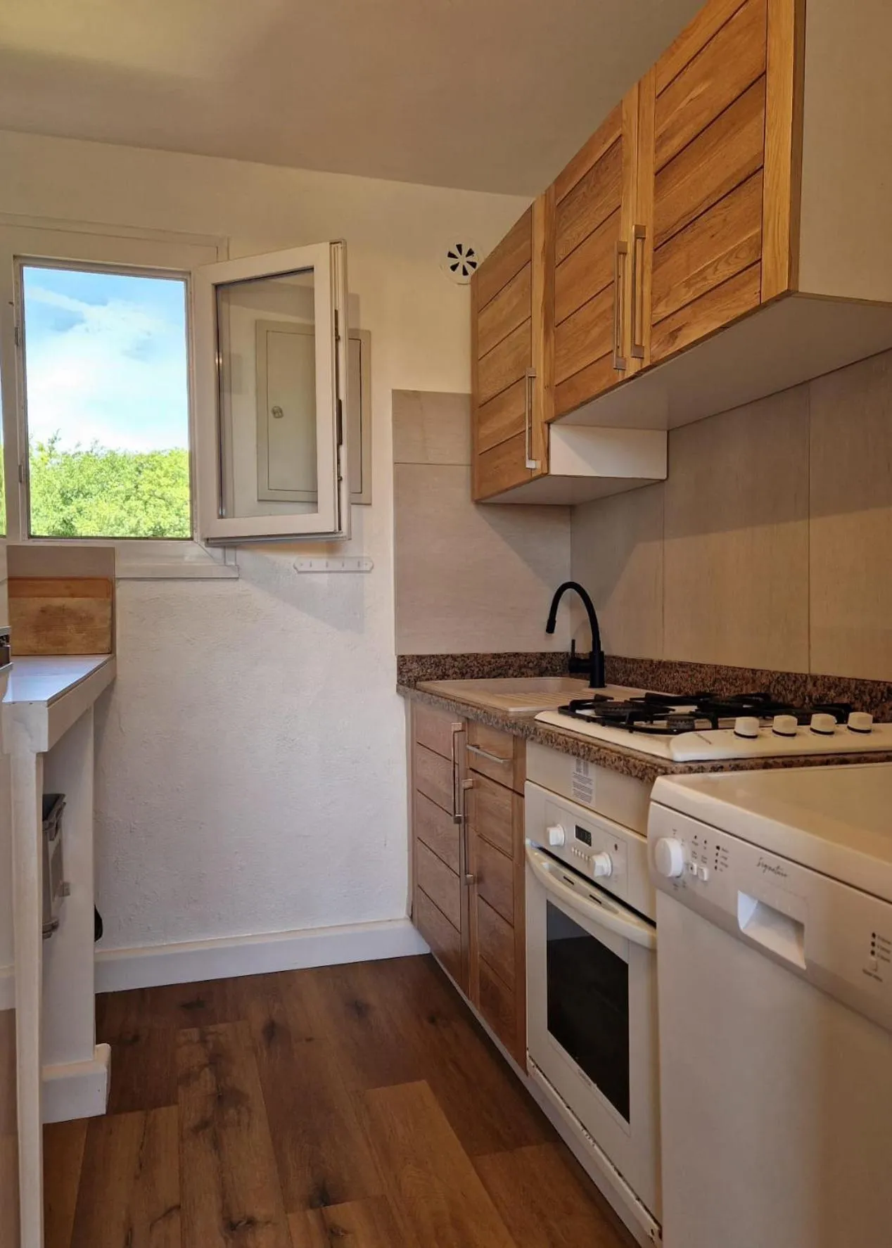 dishwasher in Pinea Mare