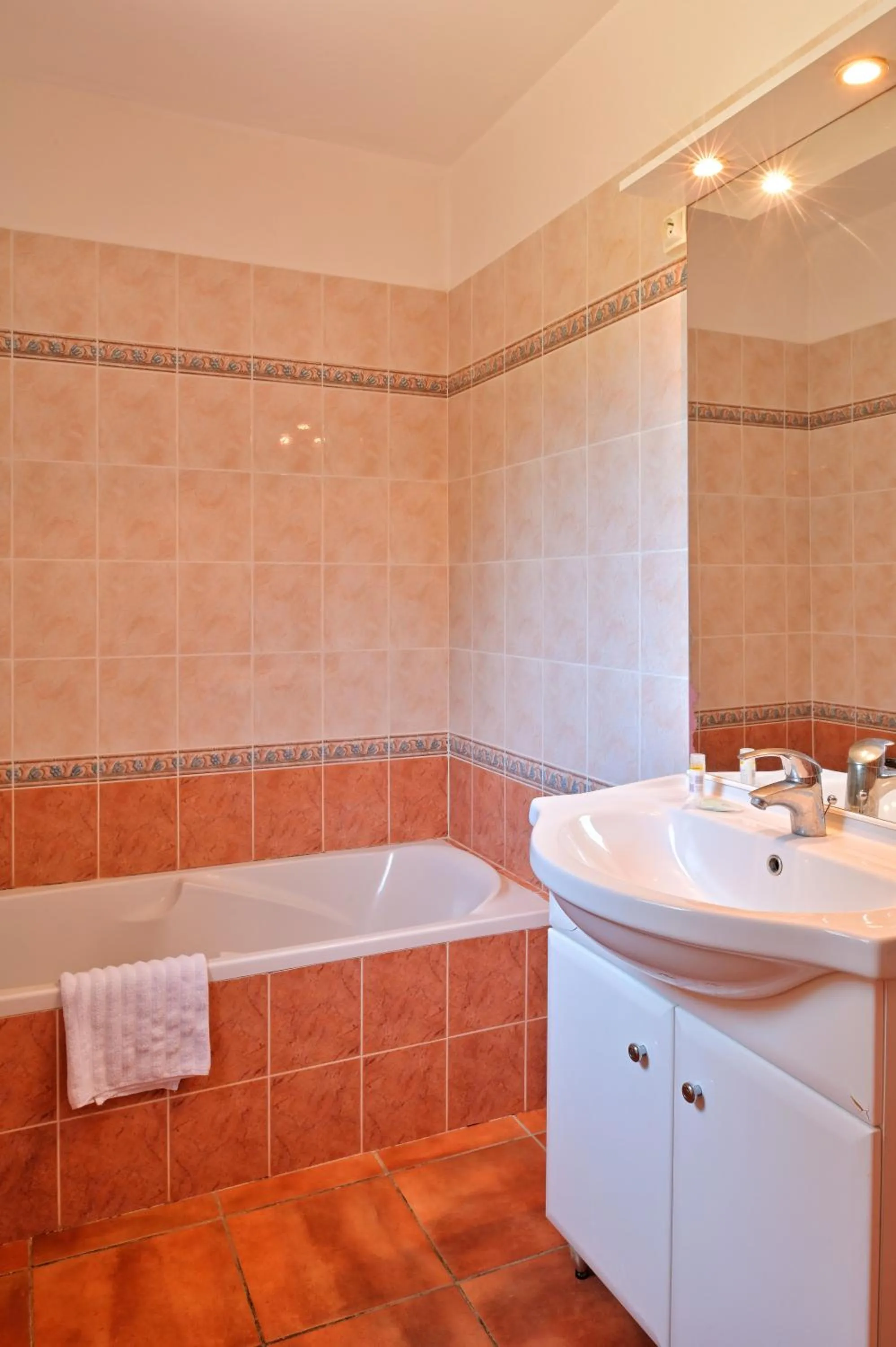 Bathroom in Pinea Mare