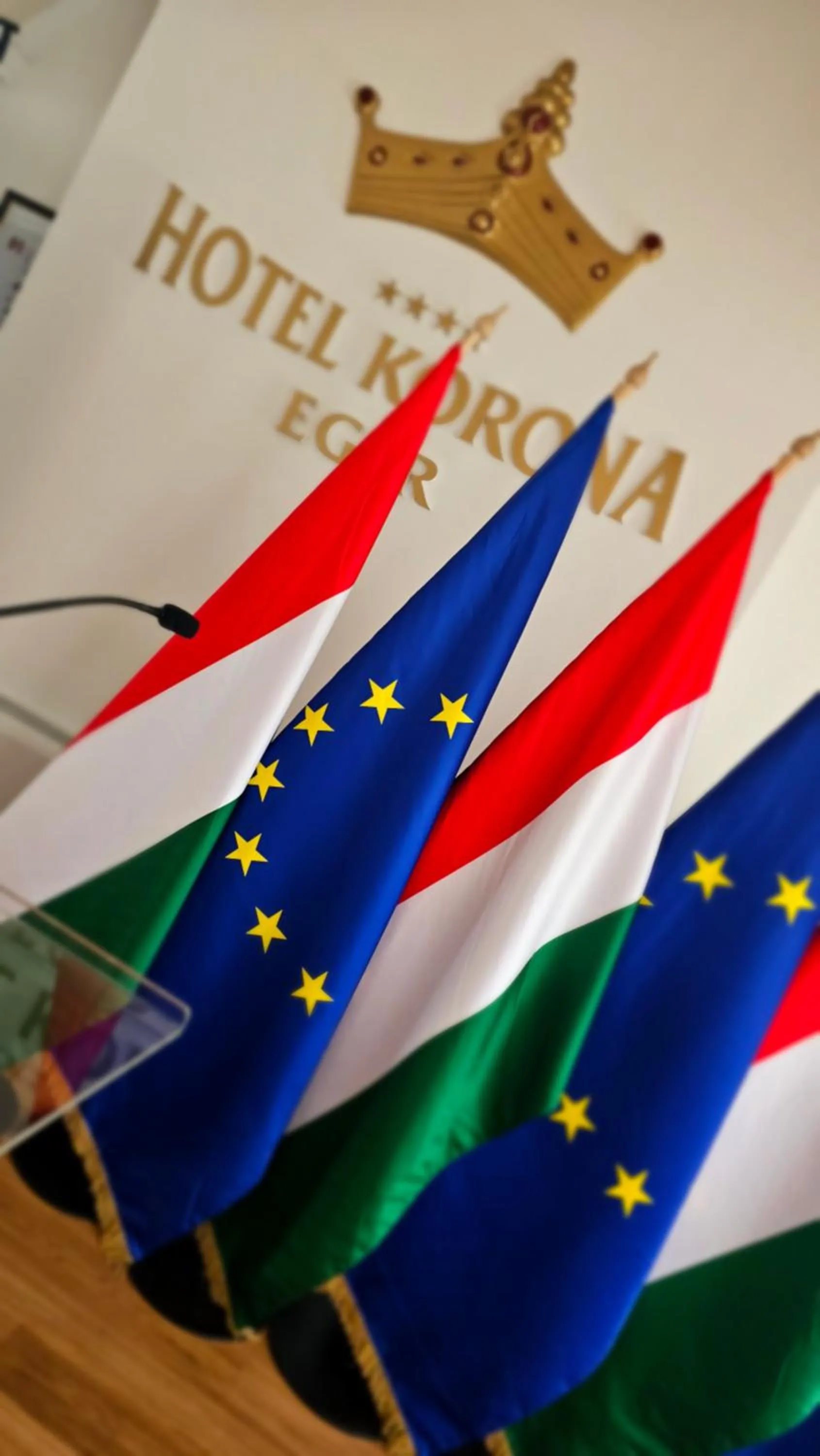 Meeting/conference room in Hotel Korona Wellness, Rendezvény és Borszálloda