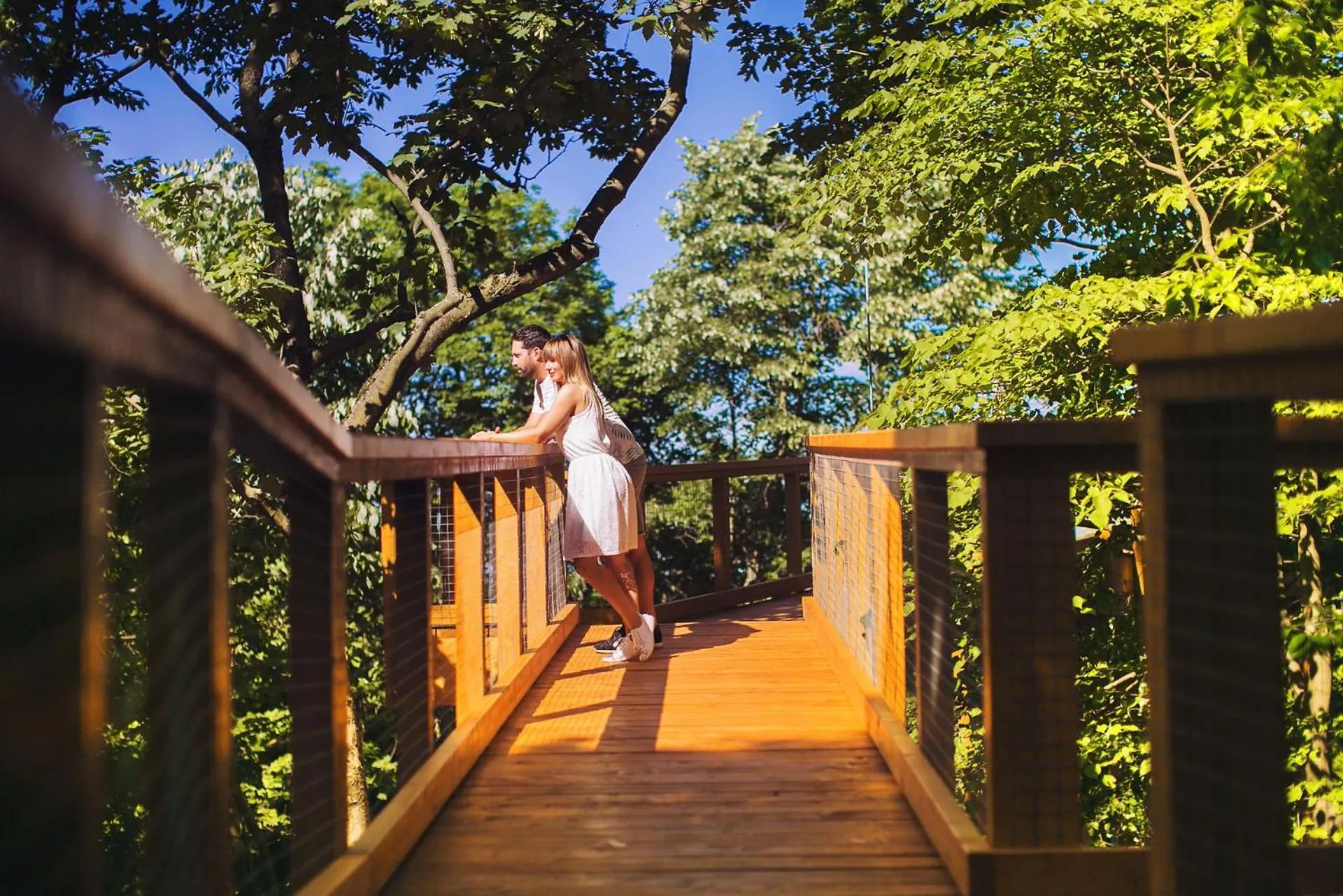 Nearby landmark in Hotel Fit Hévíz