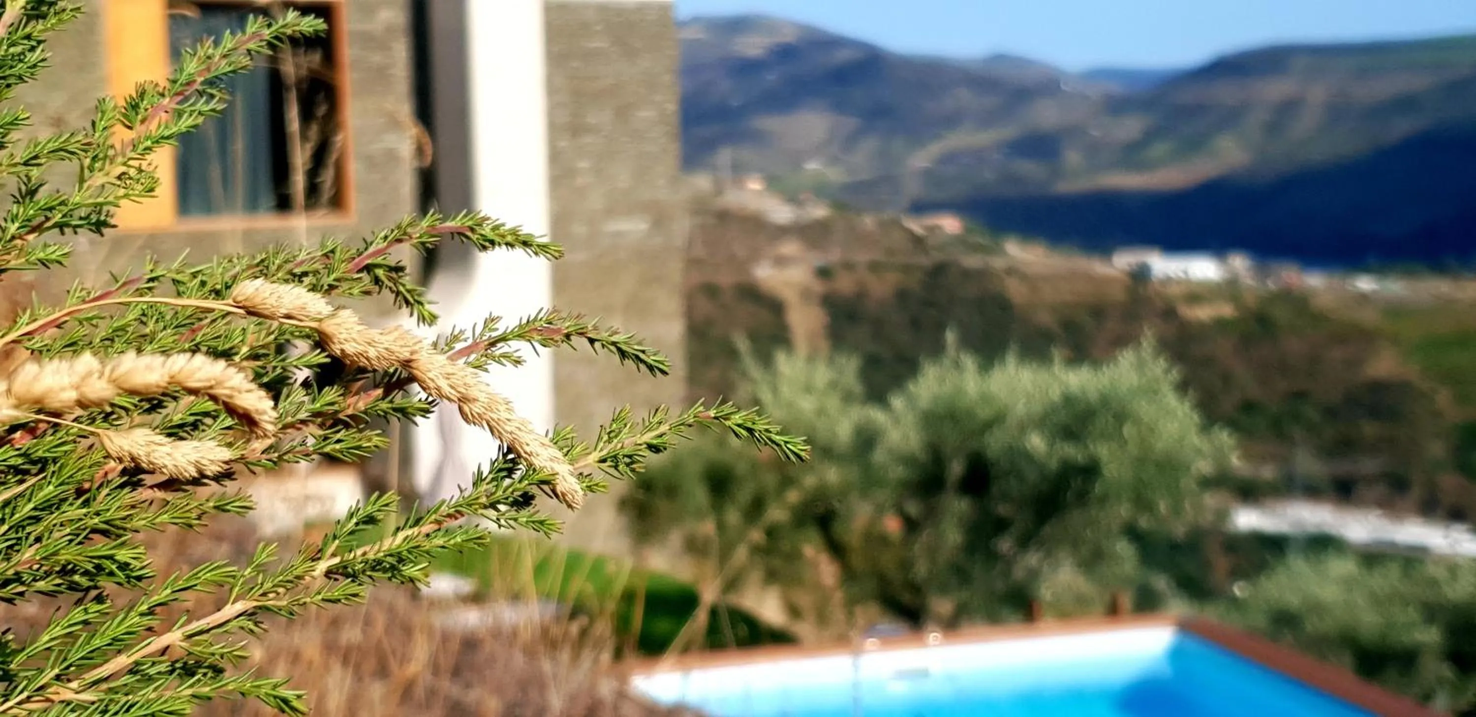 Off site in Casa do Arco by Douro Exclusive