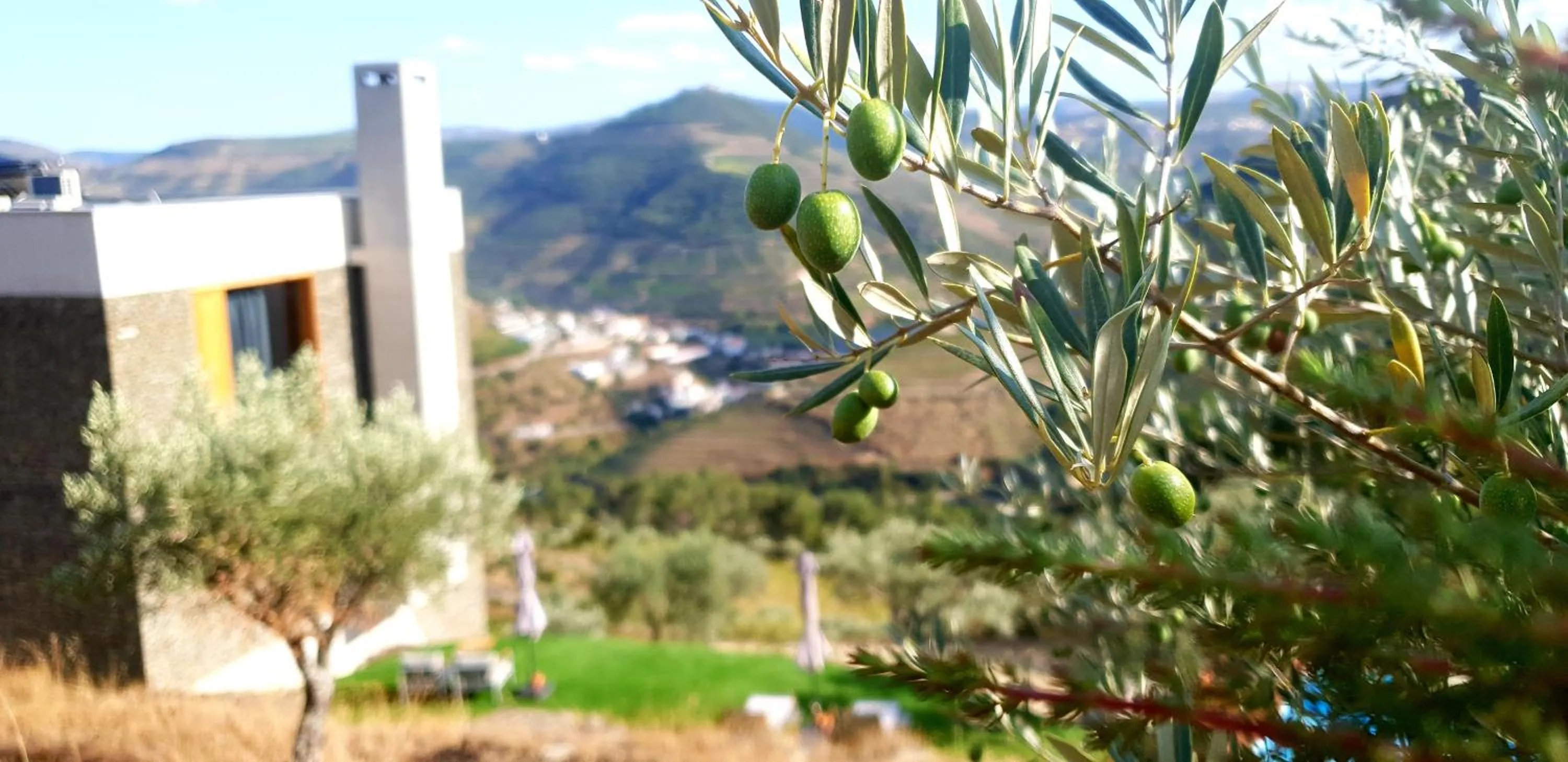 Off site in Casa do Arco by Douro Exclusive