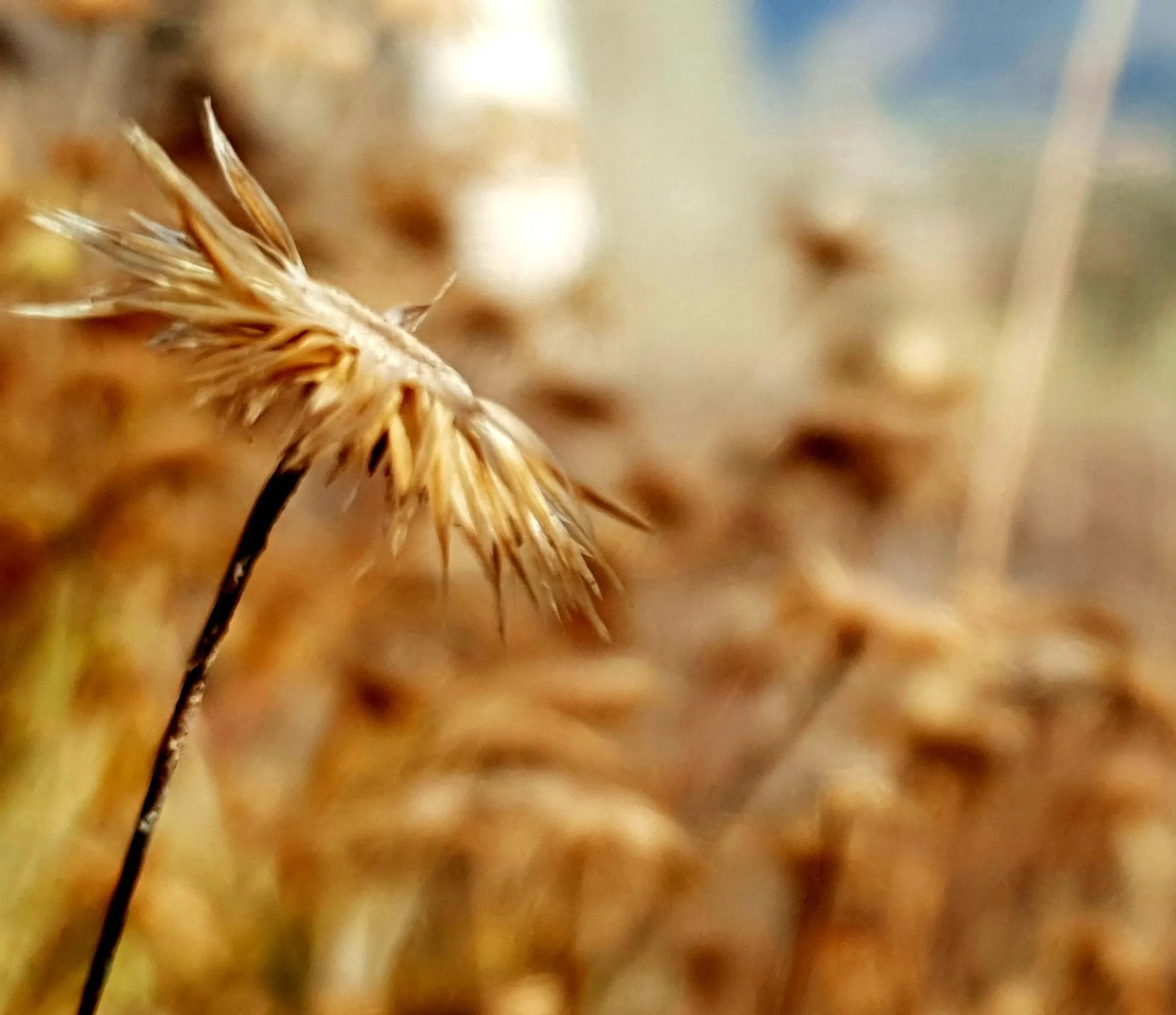 Natural landscape in Casa do Arco by Douro Exclusive