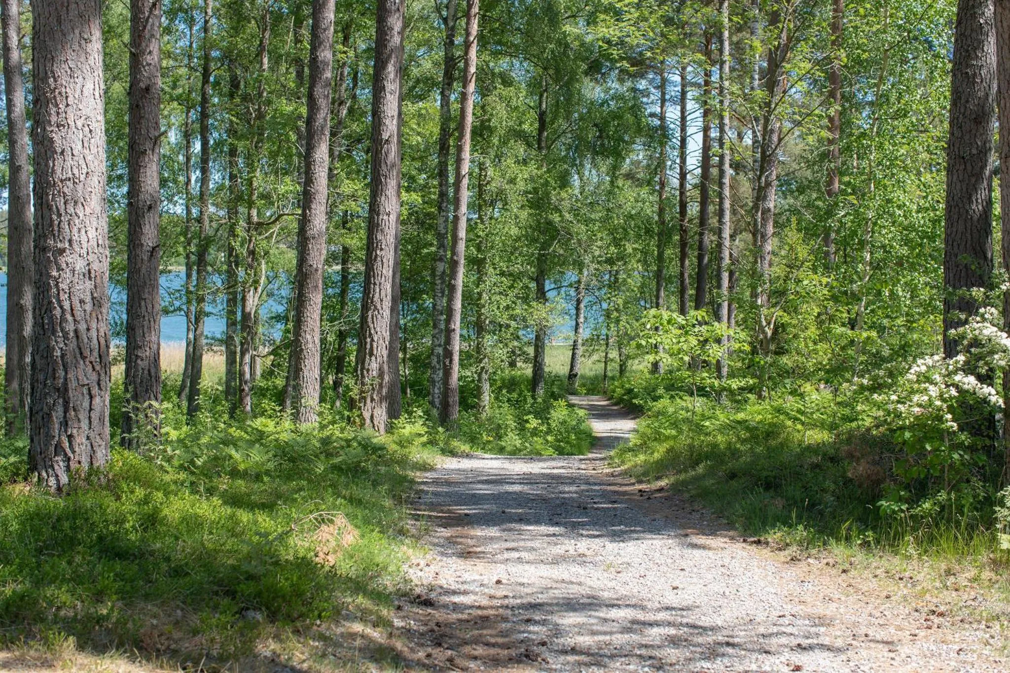 Natural landscape in Bergs Gård & Hållsvikens Gård