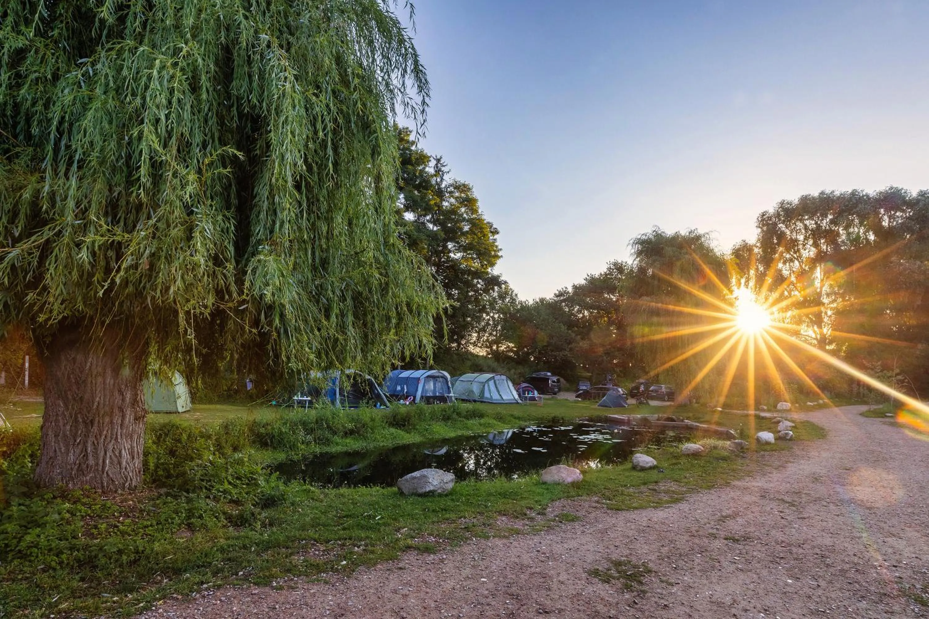 Garden in Hotel 11 Eulen