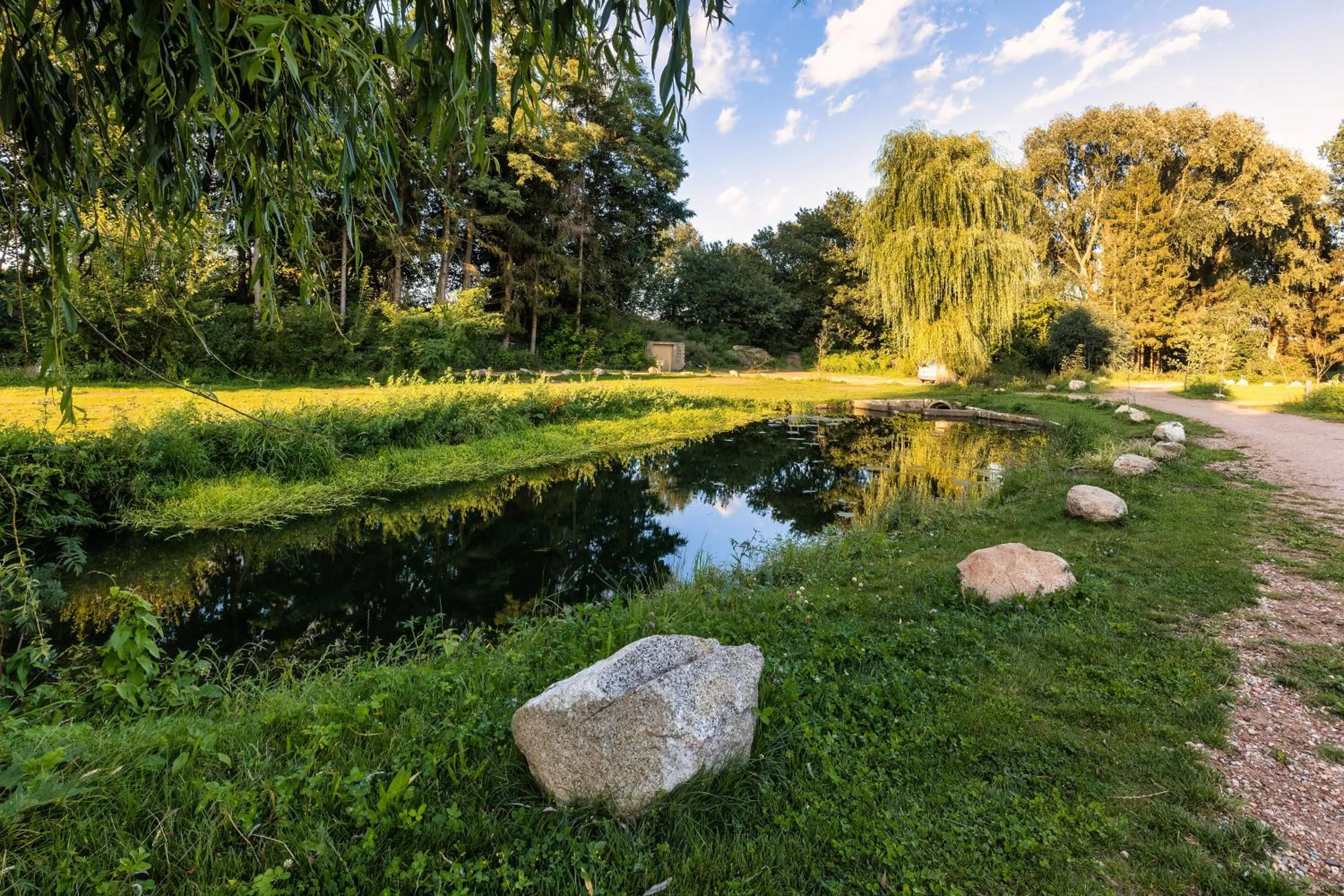 Other in Hotel 11 Eulen