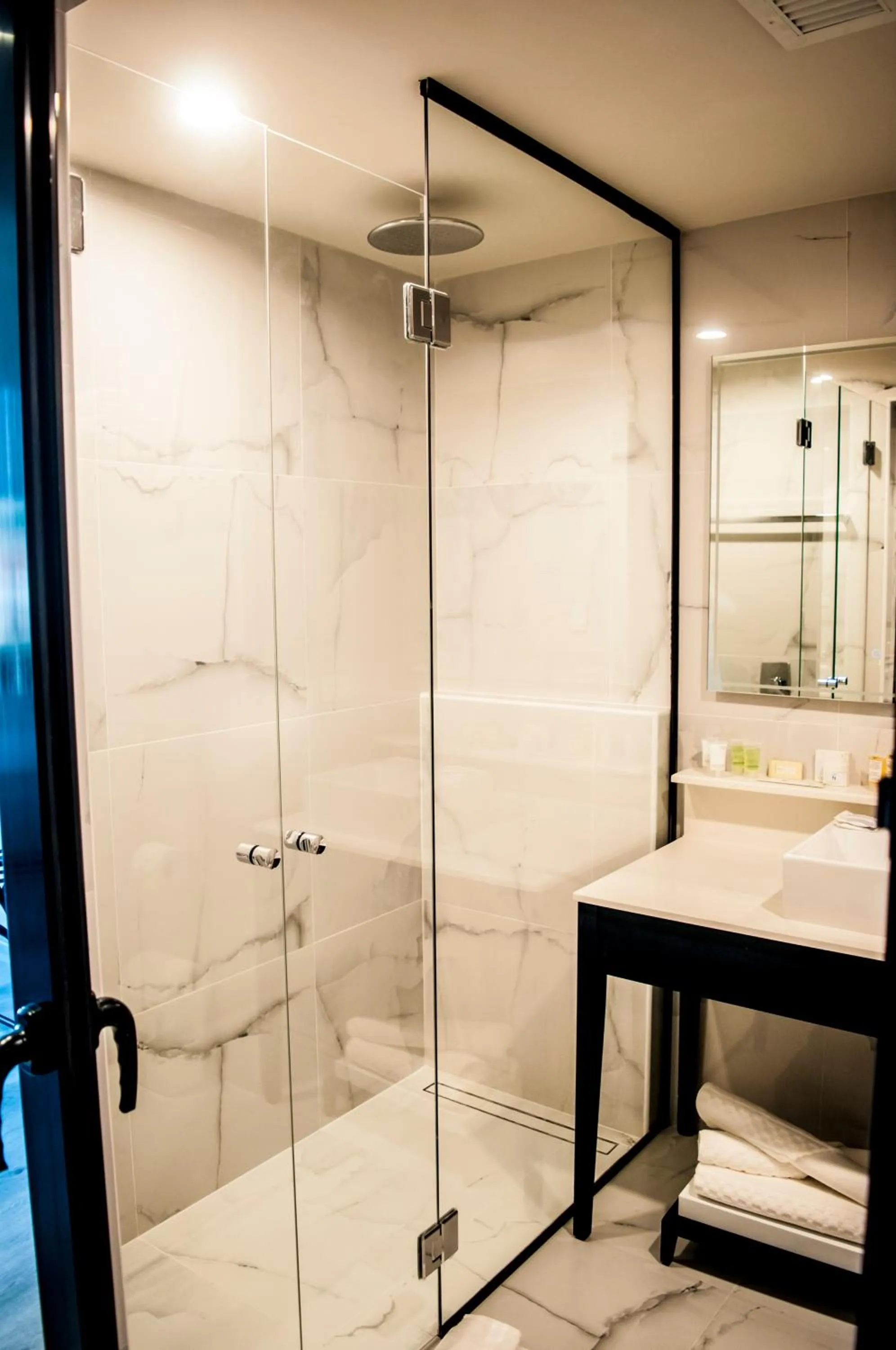 Shower in Novotel Santa Cruz De La Sierra