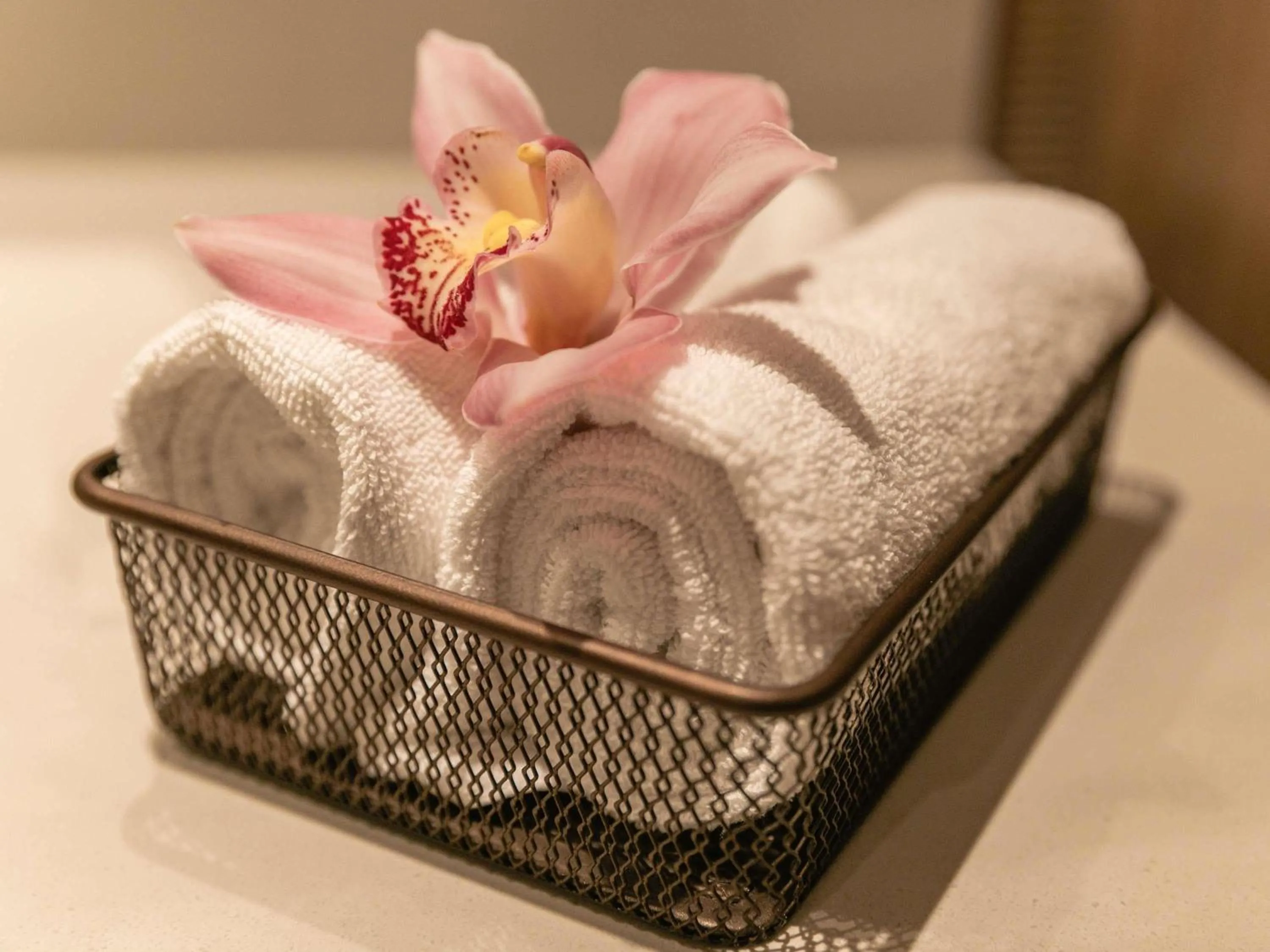 Fitness centre/facilities in Sofitel Barú Cartagena