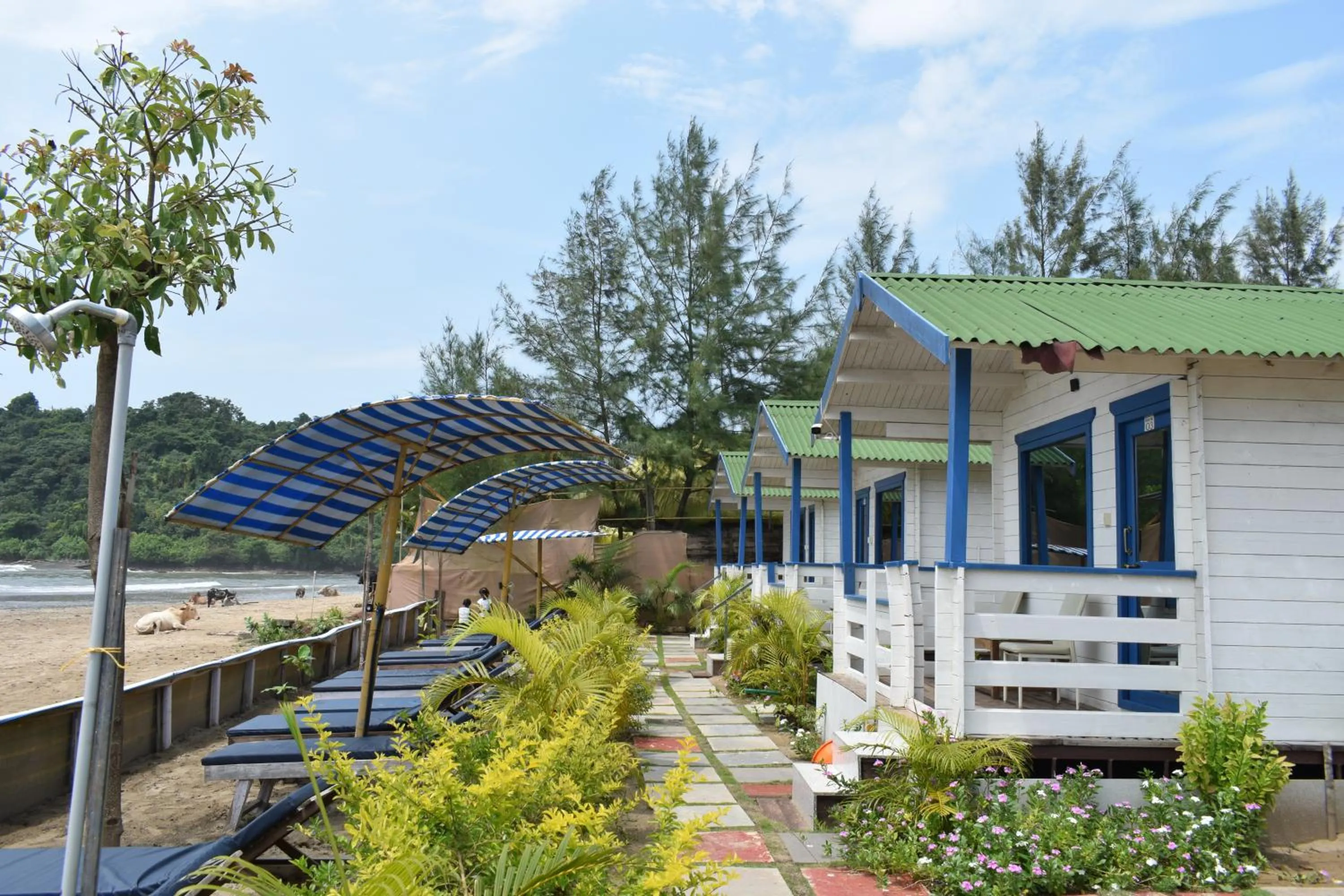 Garden in Agonda island view