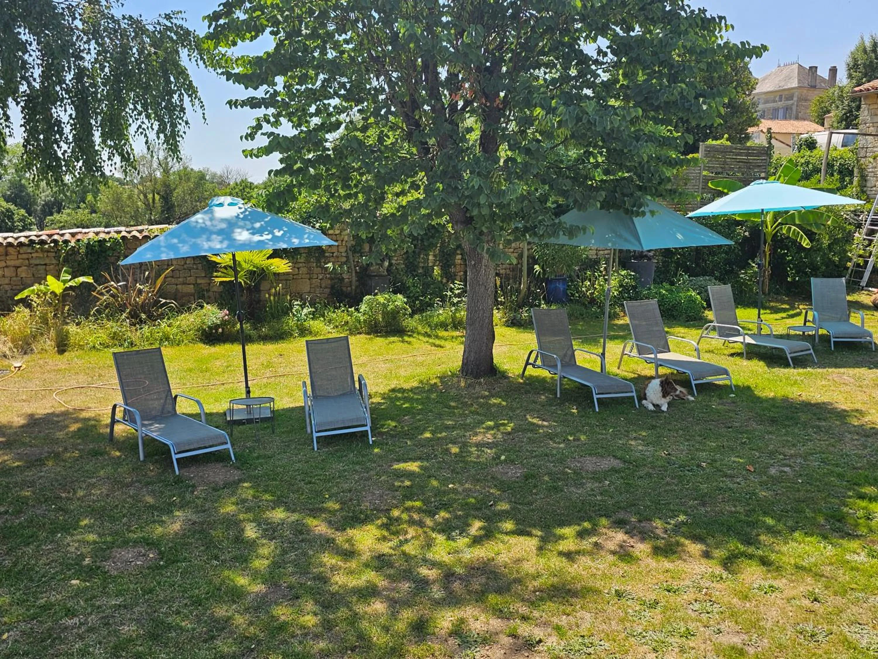 Garden in Maison Fossemagne