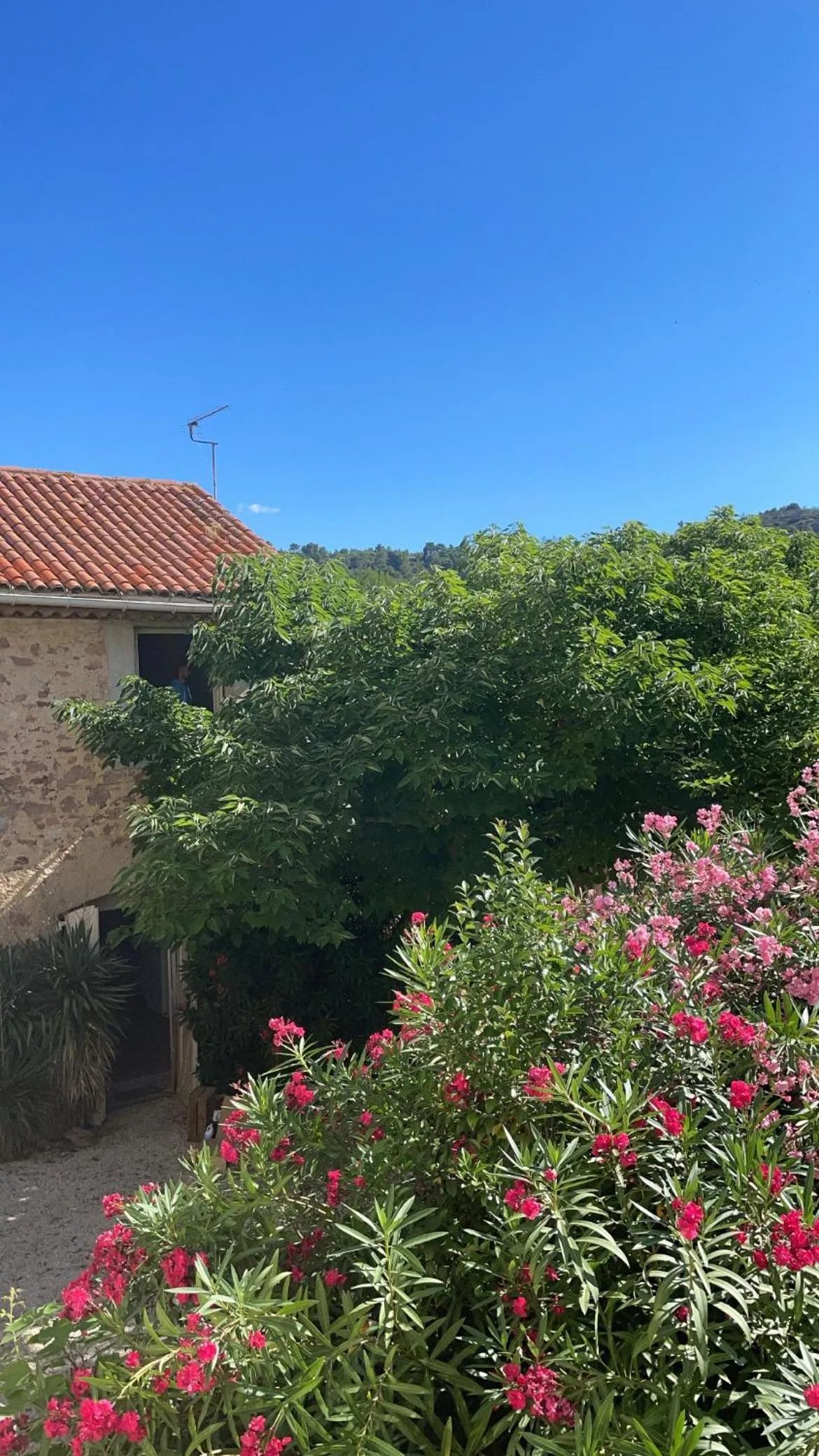 Garden in Monte Vinea