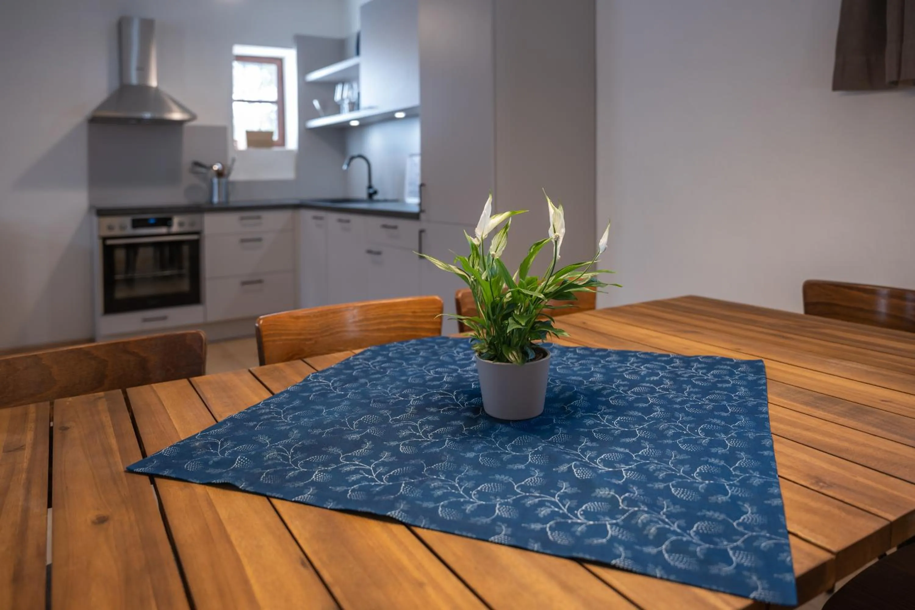 Kitchen or kitchenette in Tschardakenhof Appartements